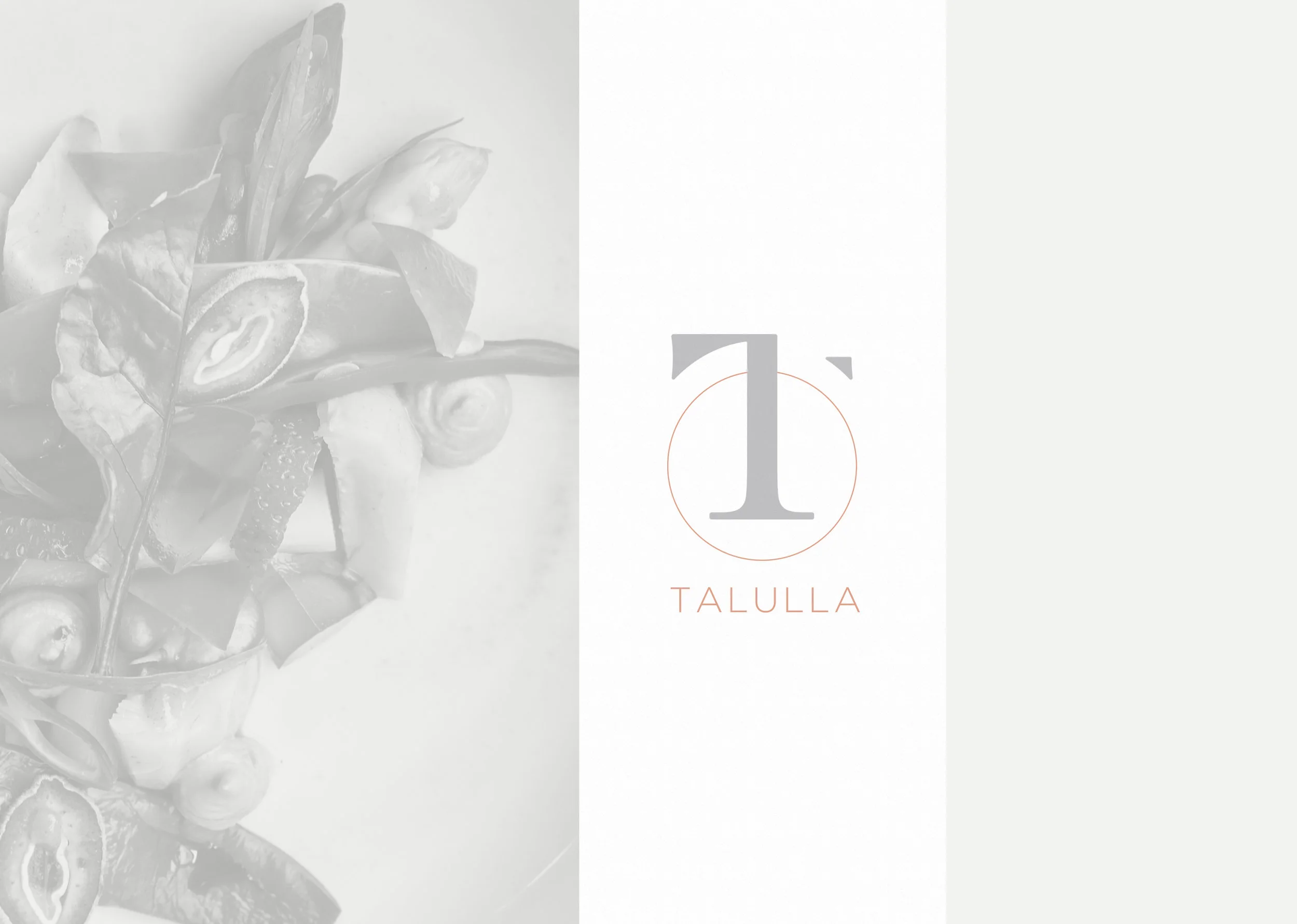 Talulla is coming this spring to Cambridge.