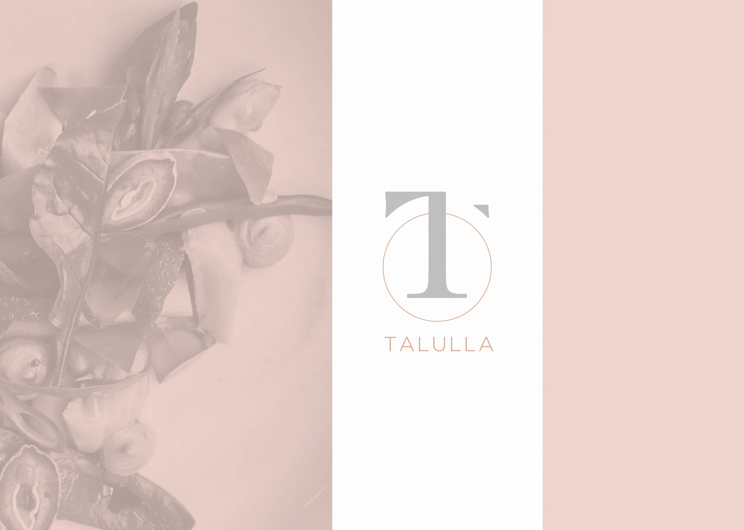 Make reservations now at the new restaurant, Talulla in Cambridge, Massachusetts.