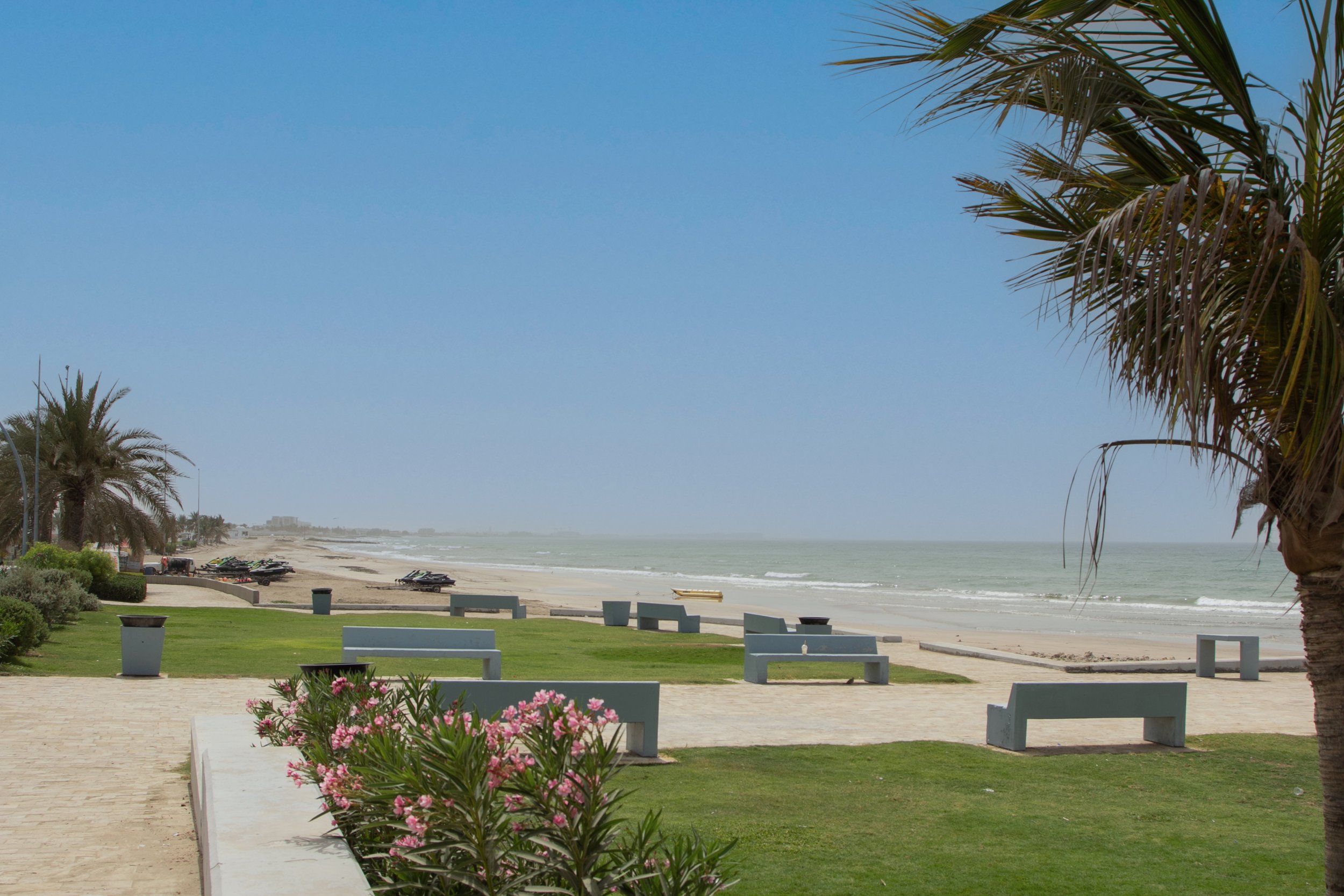 Empty sandy beach with lawn, benches and plants