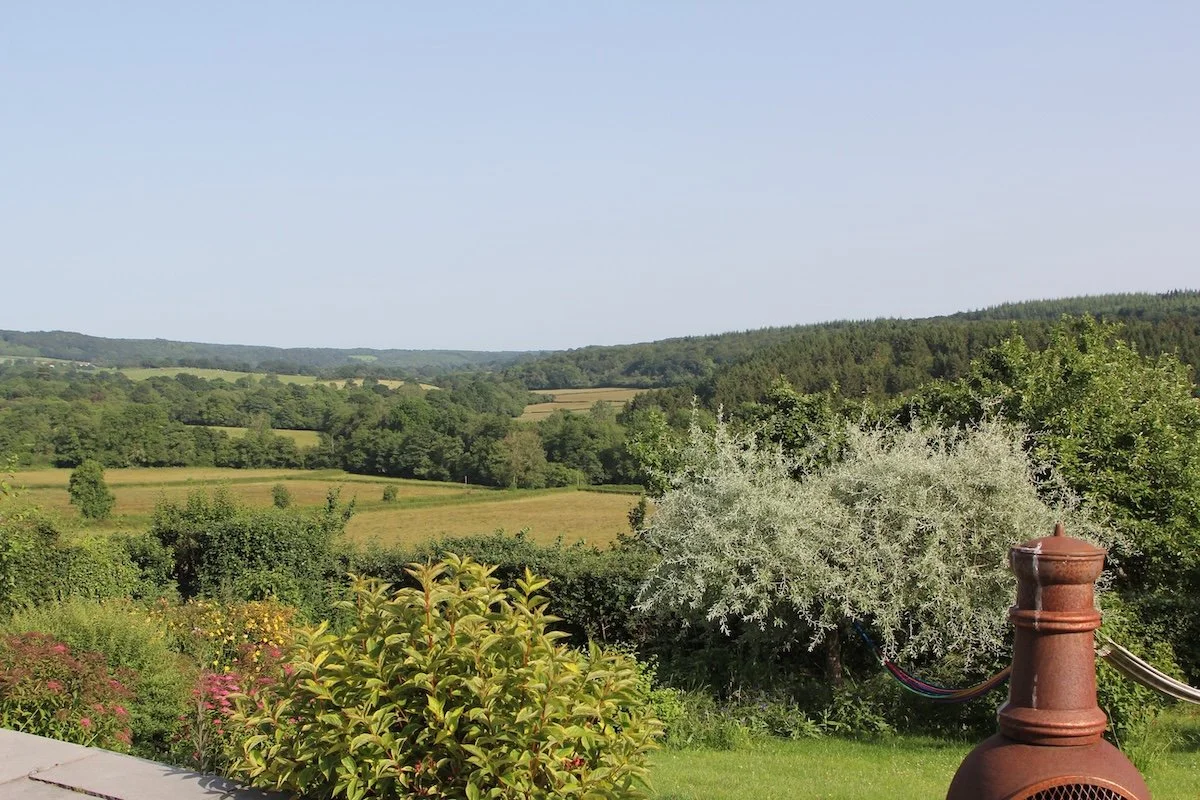 View over green fields on a sunny, cloudless day