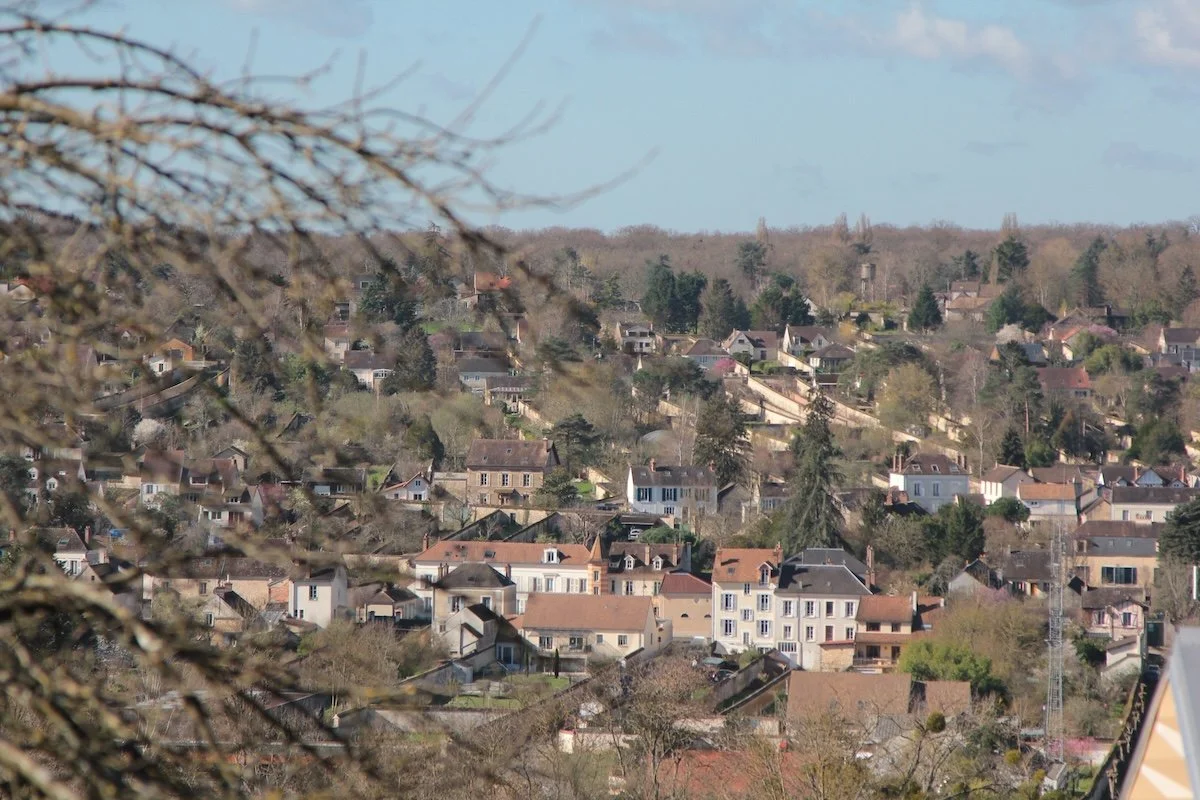 View through winter branches looking down on town and gardens