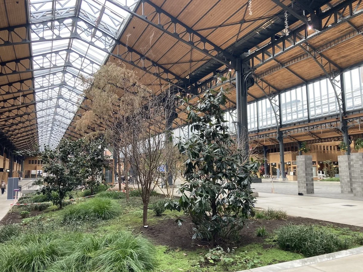 Interior of former industrial building with plants