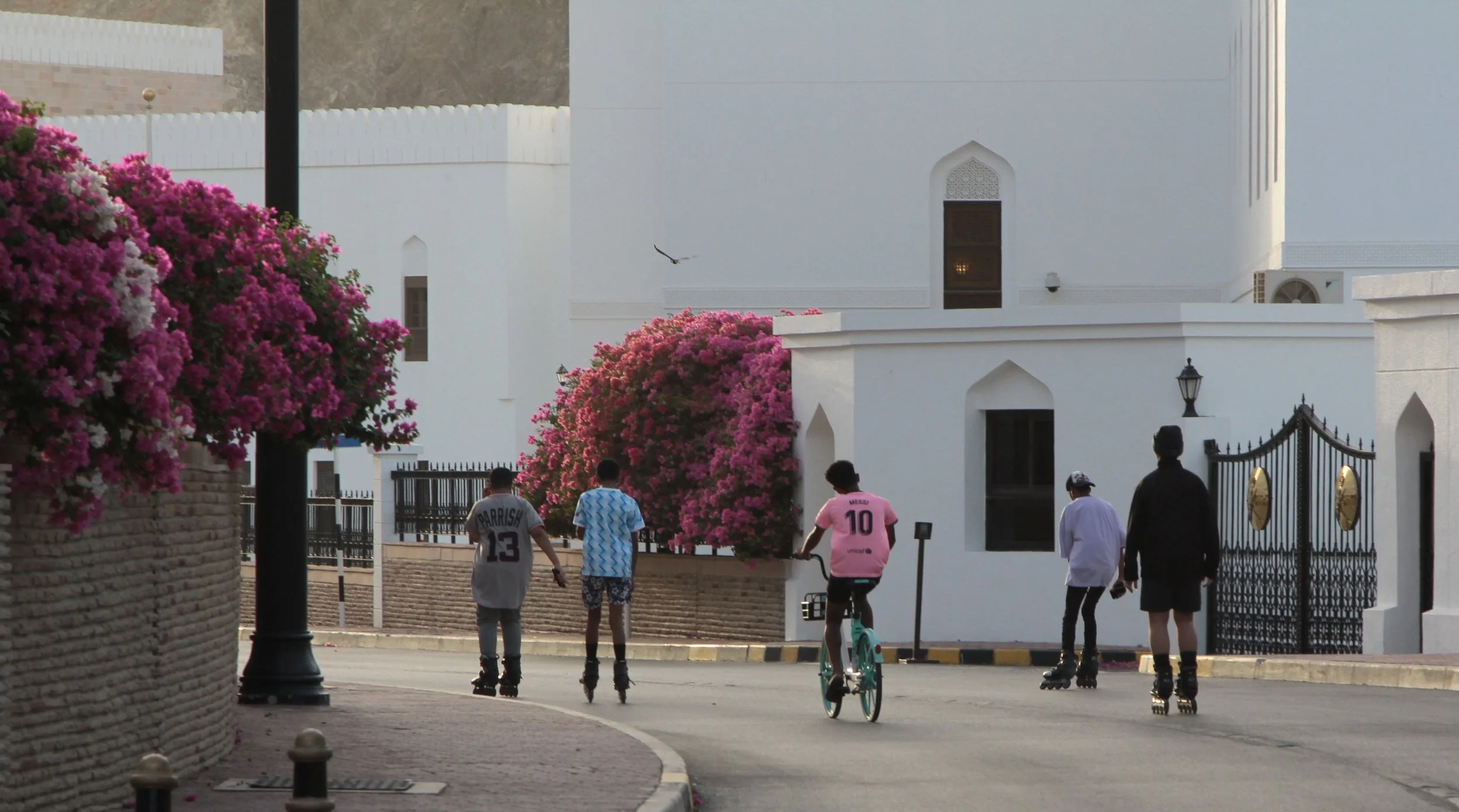 Five boys roller-blading and cycling against white building with pink flowers
