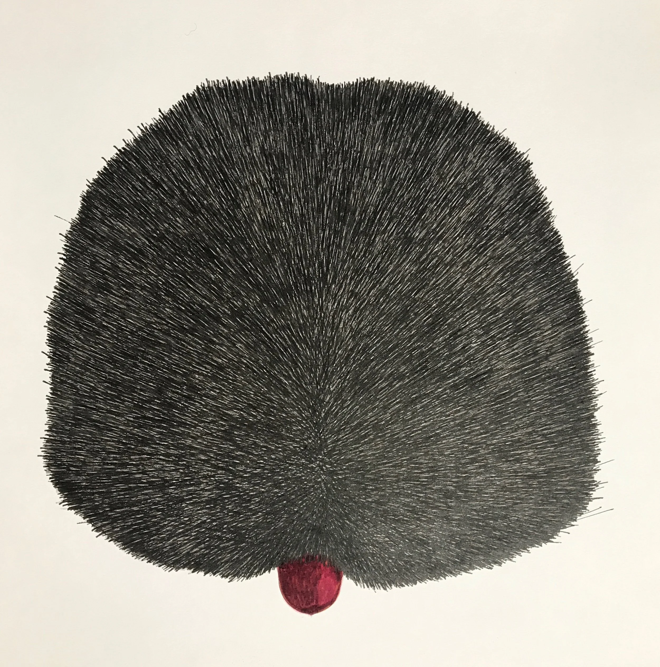 Fur, 2018, pen on paper, 25x25cm
