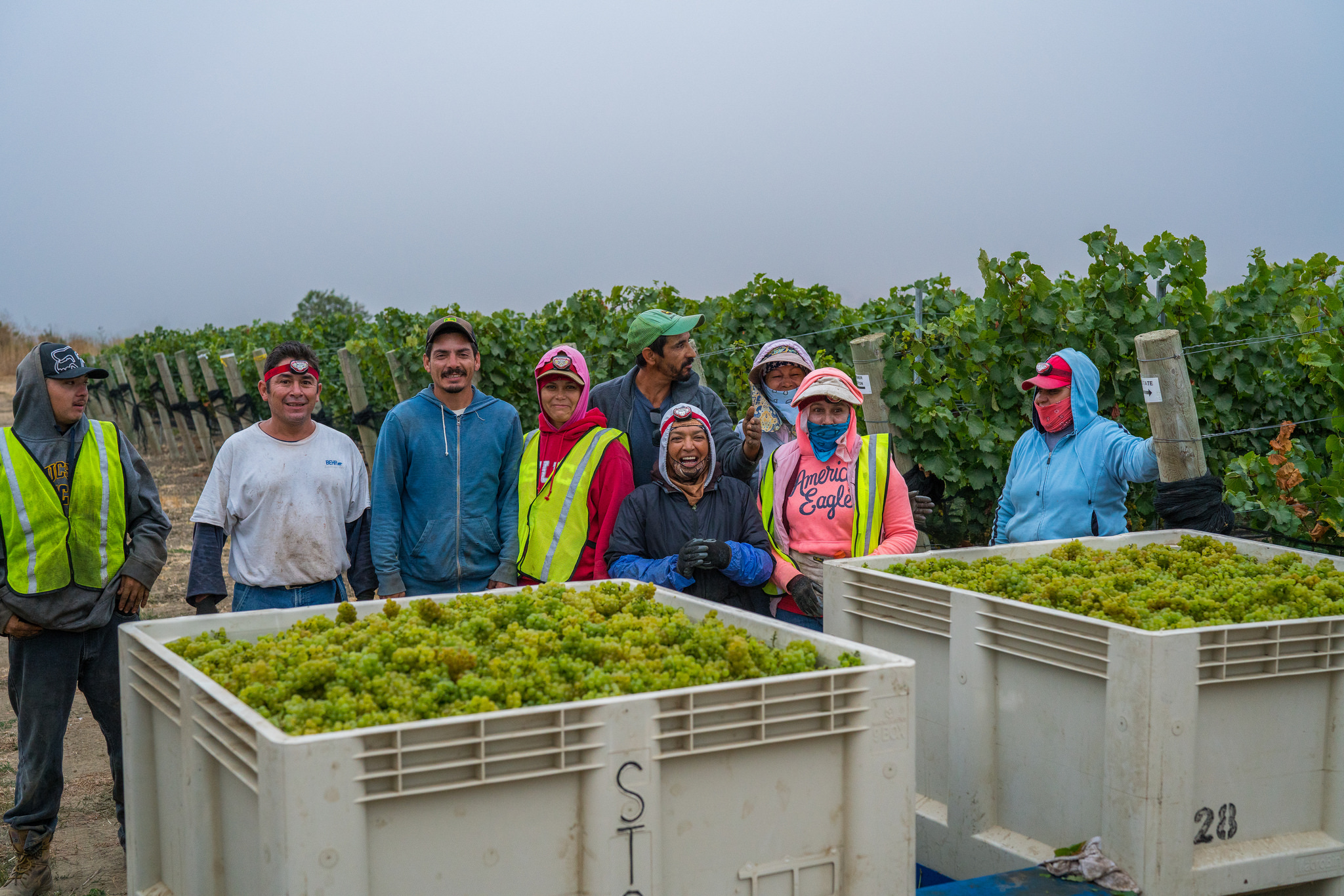 2017 Harvest Crew