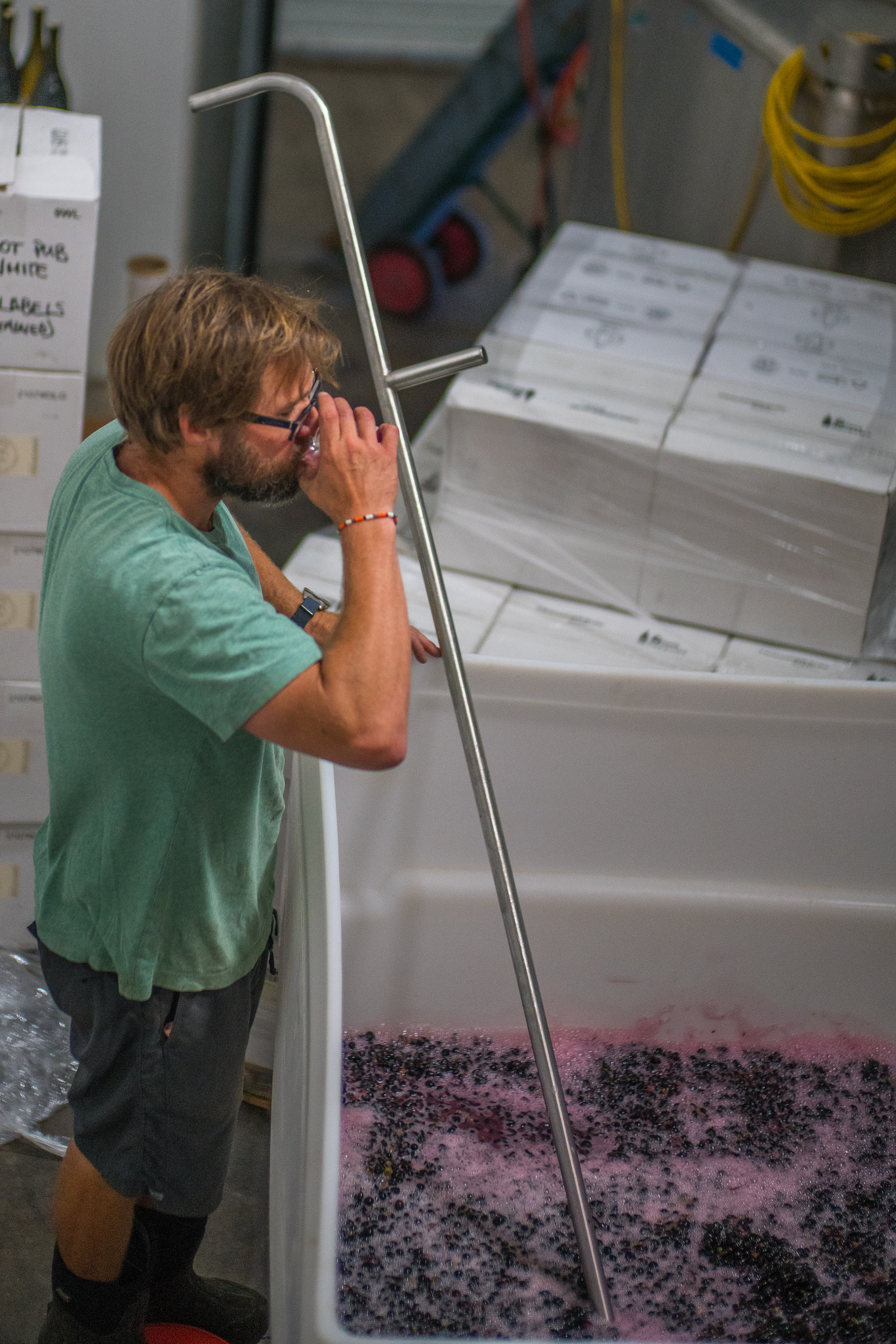  Tasting fermenting Pinot in the winery 