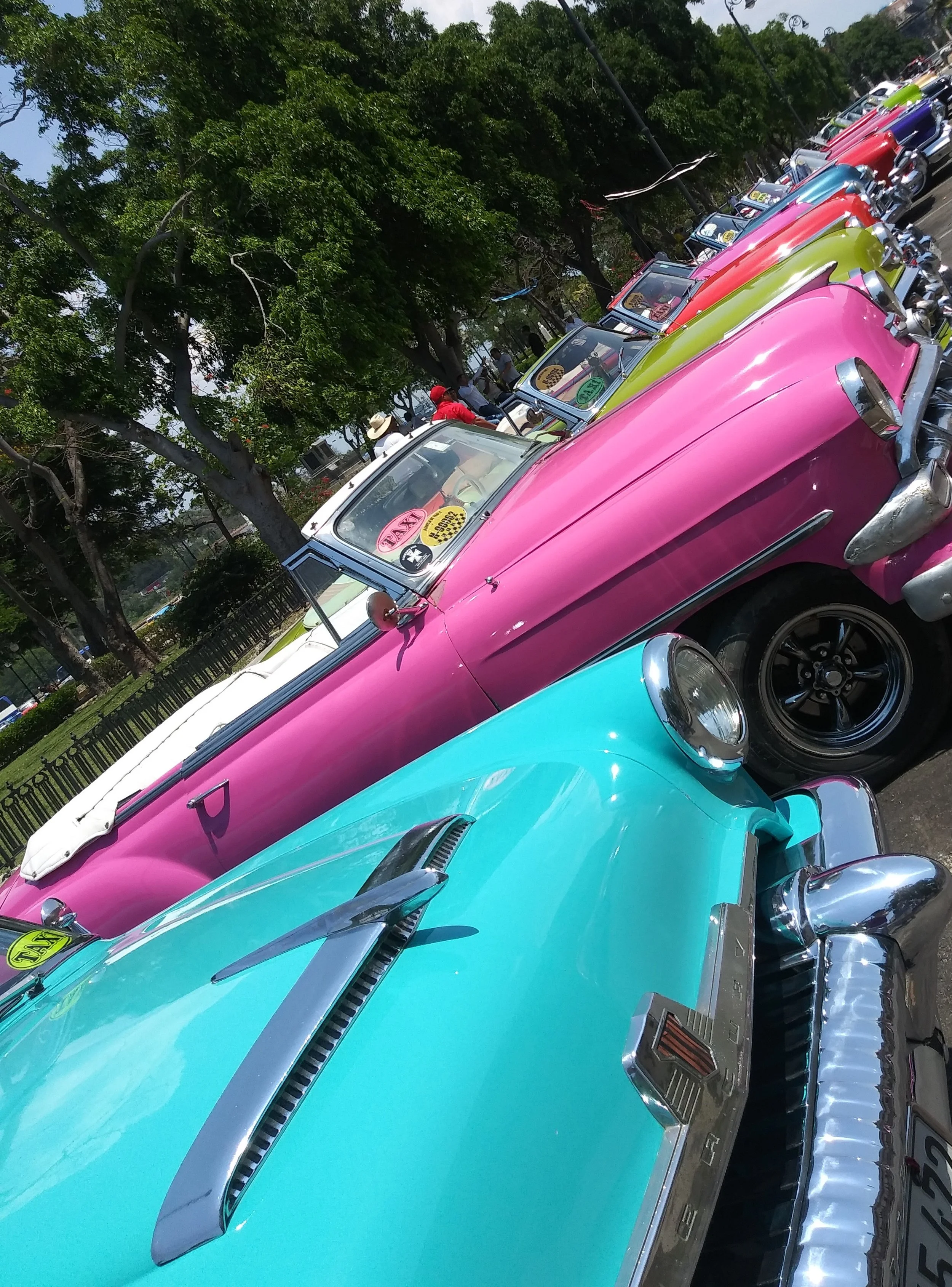 20190428_140208~2.jpg