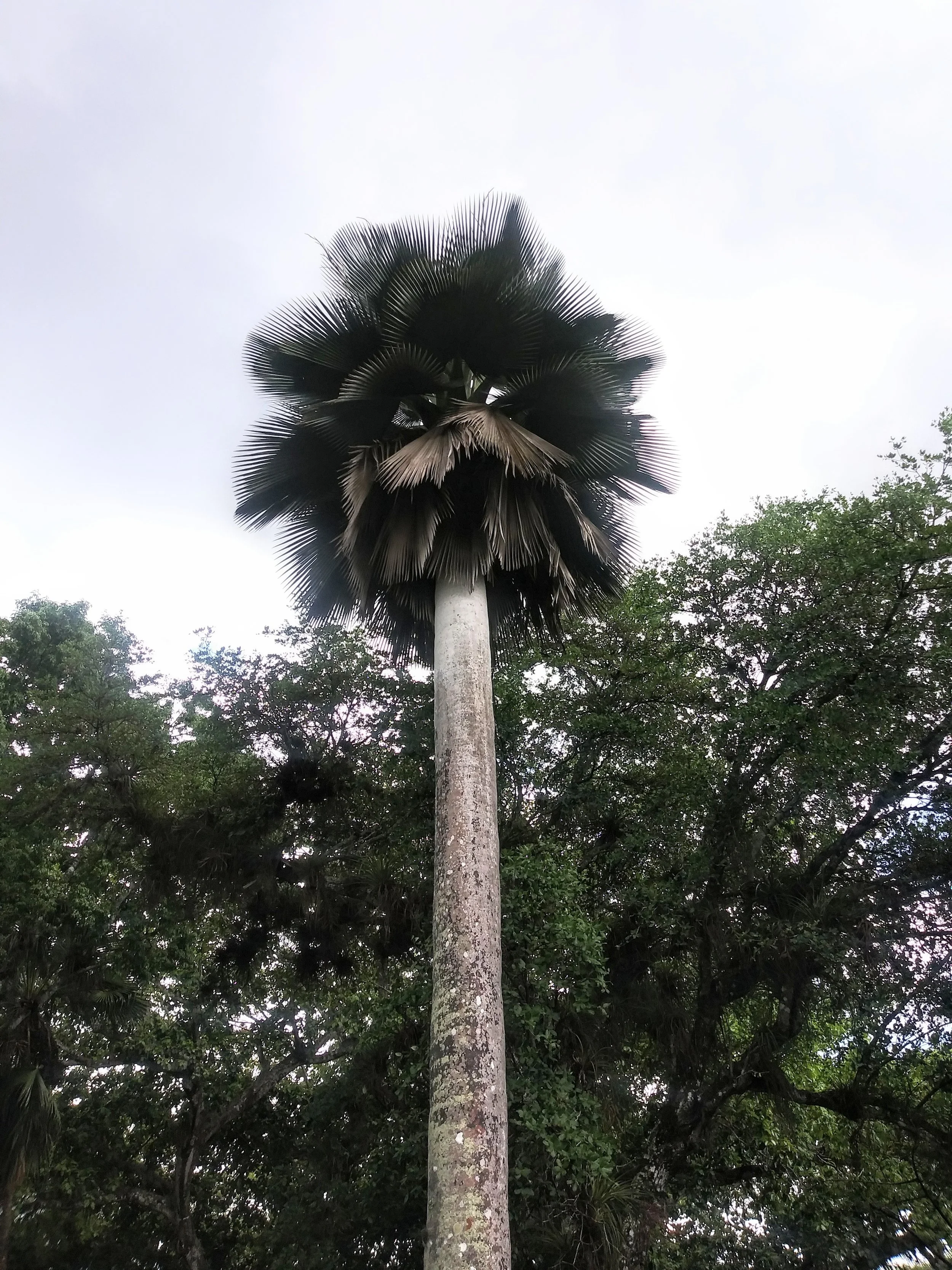 20190502_150144~2.jpg