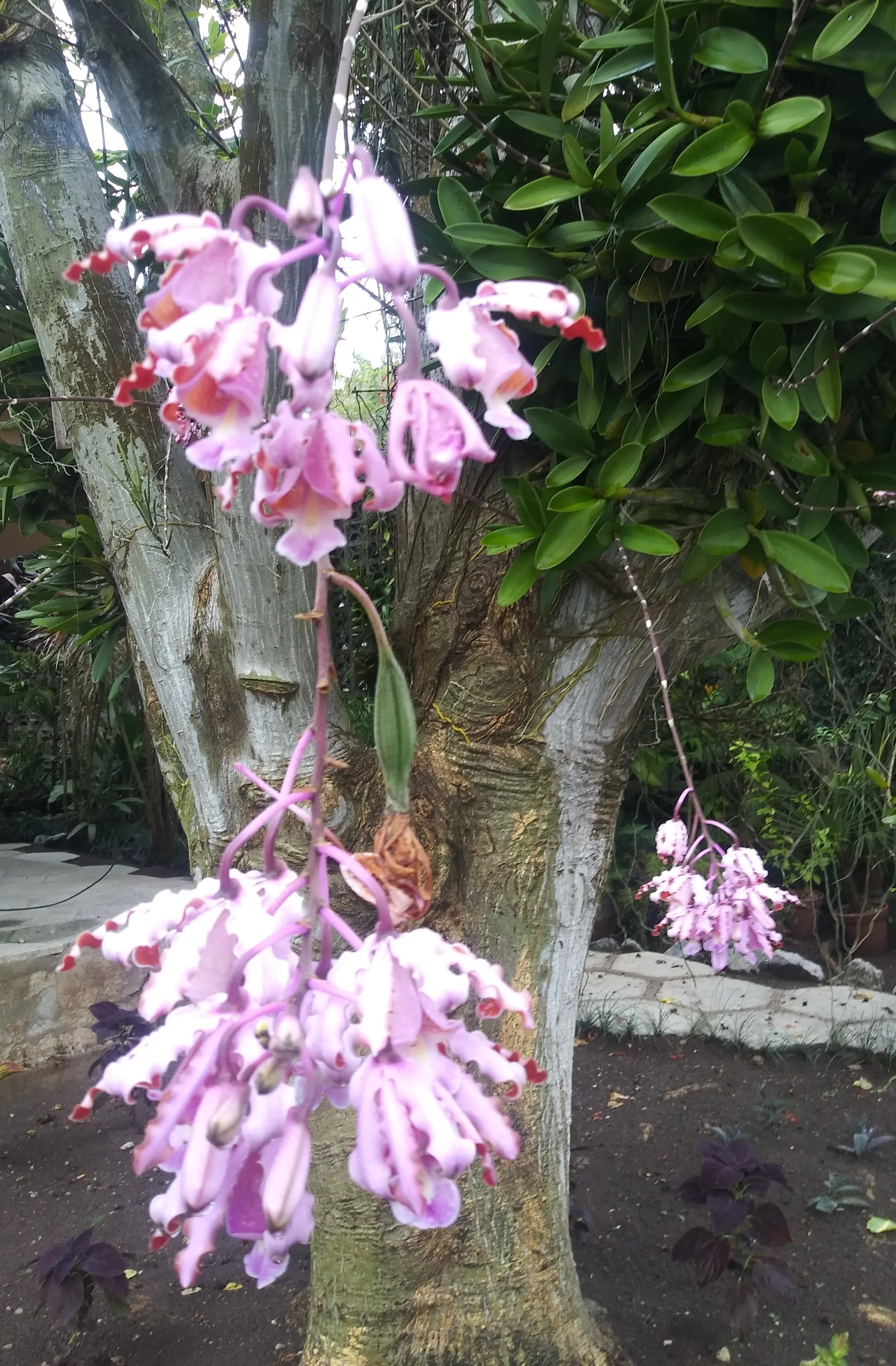 20190502_153535~2.jpg