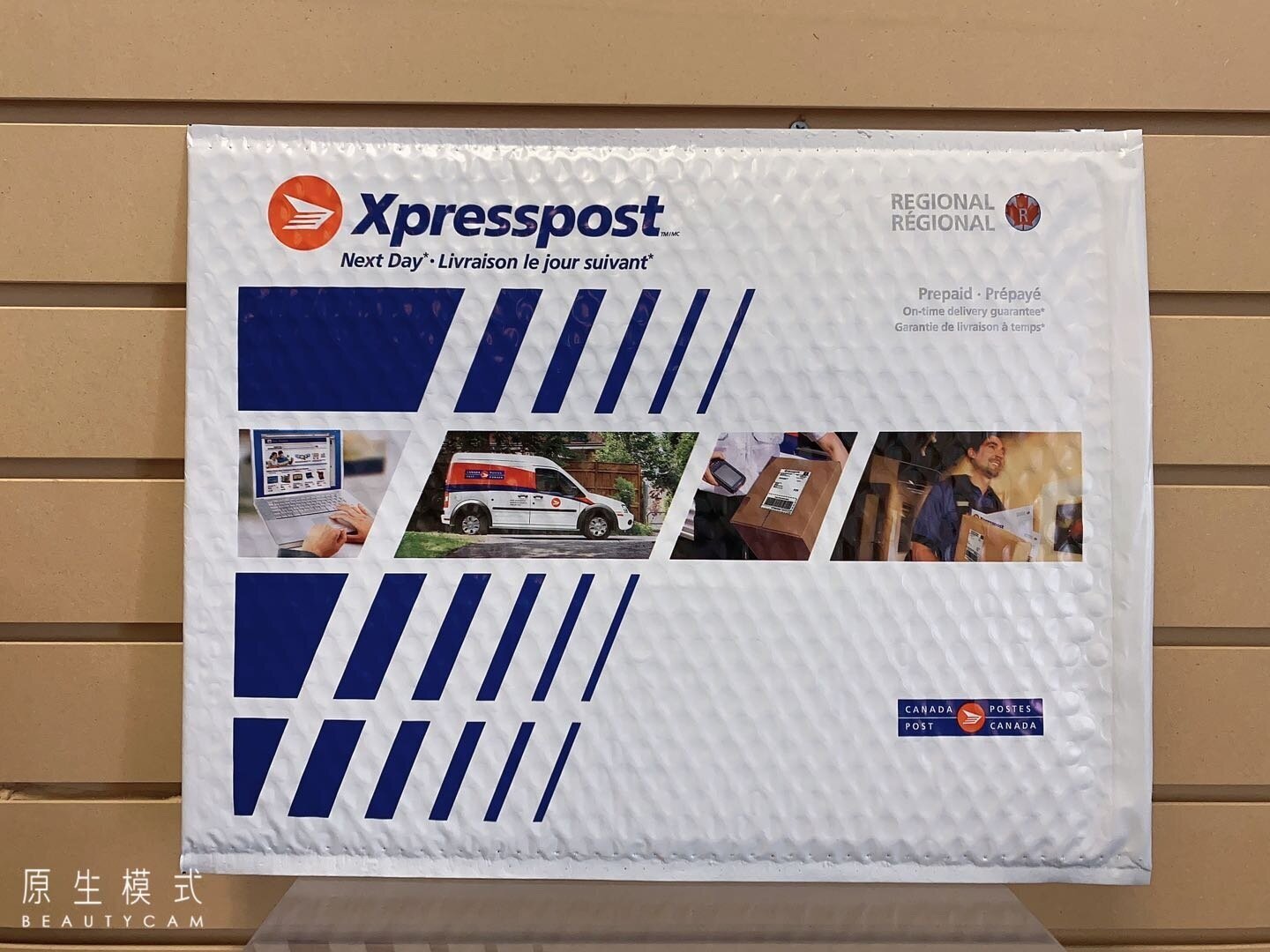 Xpressport Reginal Bubble Envelope (Large)