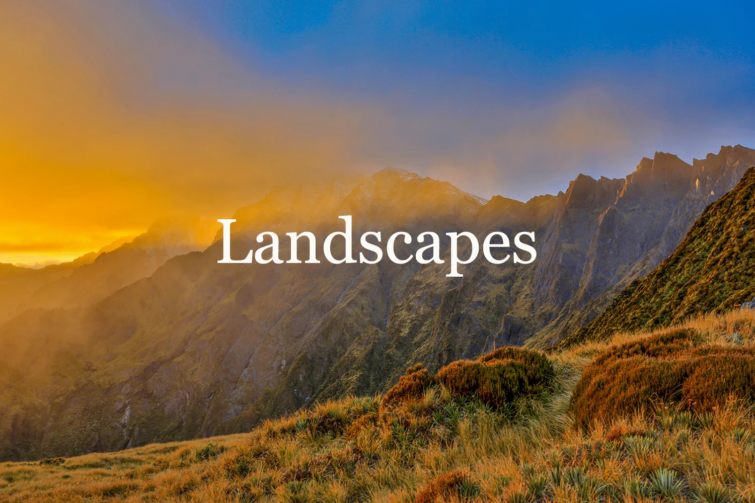 Fox Glacier 6_1500_TEXT.jpg