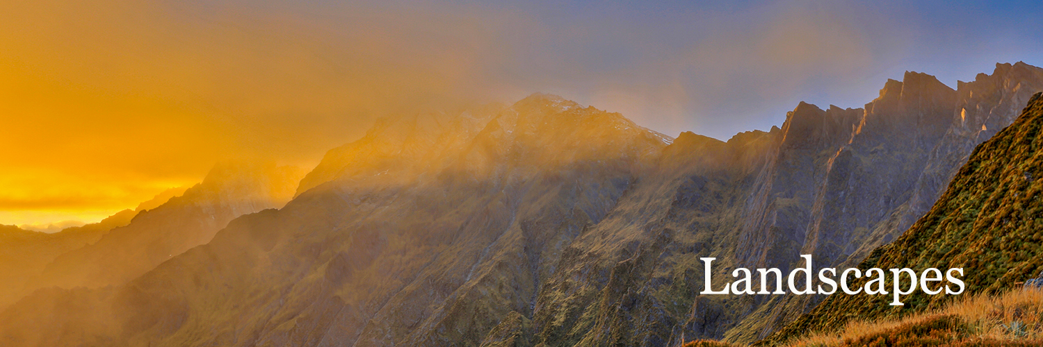 Fox Glacier 6_1500X500_TEXT.jpg