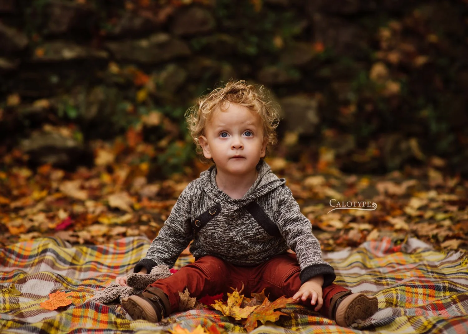 curly headed 2 year old boy sits on a plaid blanket in the park for birthday pictures