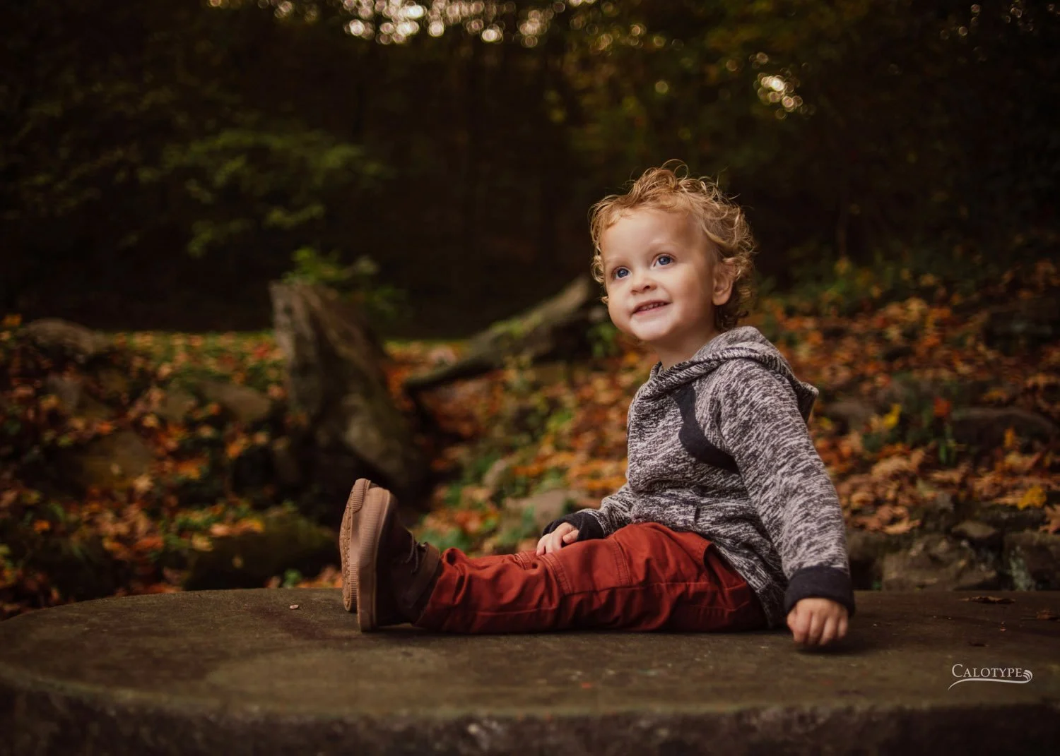 two year old boy sits on a table in the park for birthday pictures