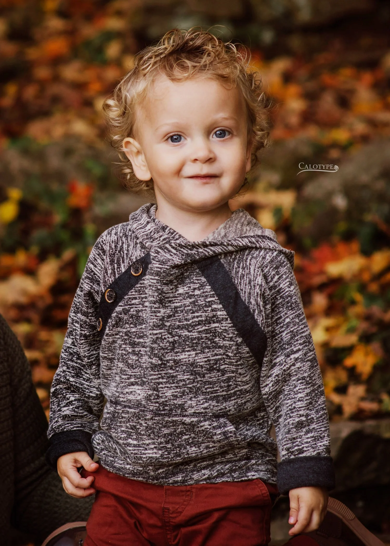 2 year old boy in fall clothes smiles for pictures