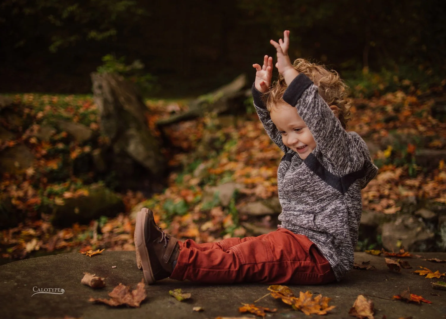 curly headed 2 year old boy sits on a rock in the park. laughing and throwing hands in air