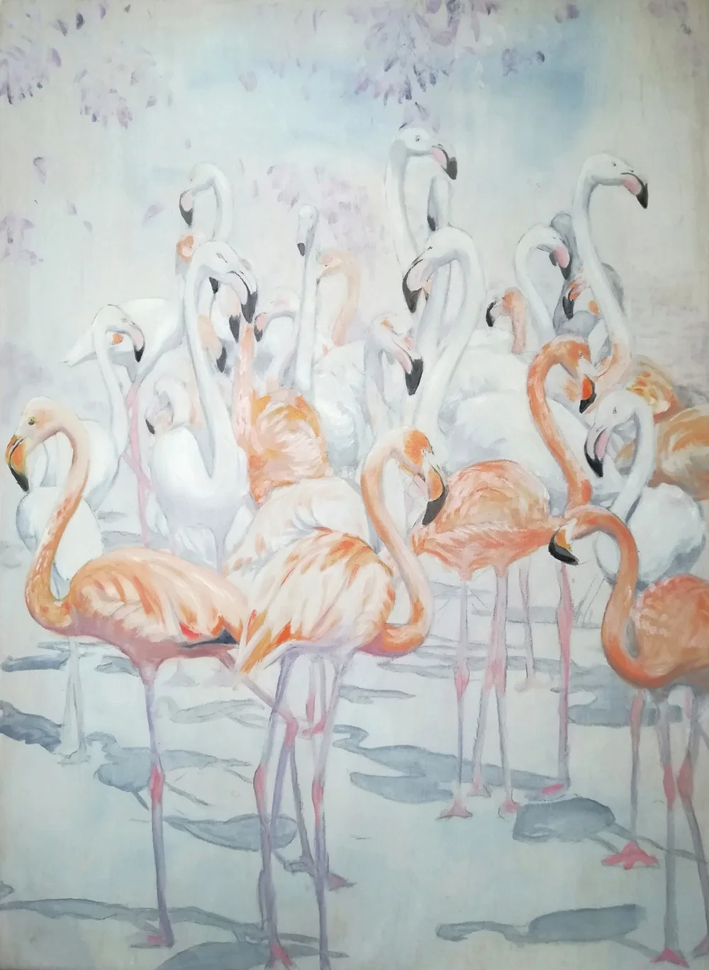 Flock of Flamingos