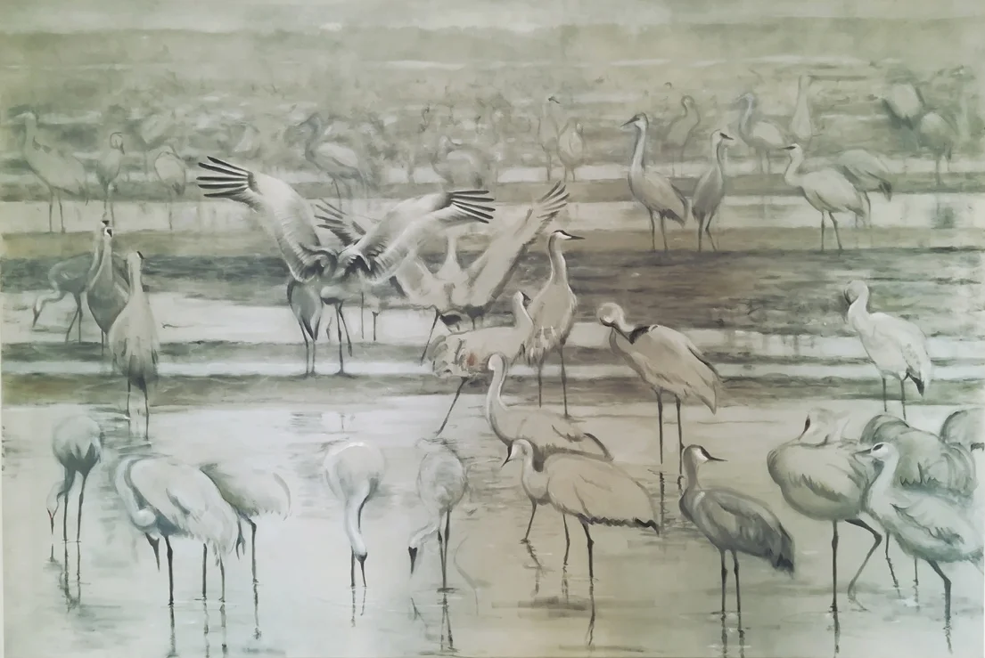 Sandhill Cranes