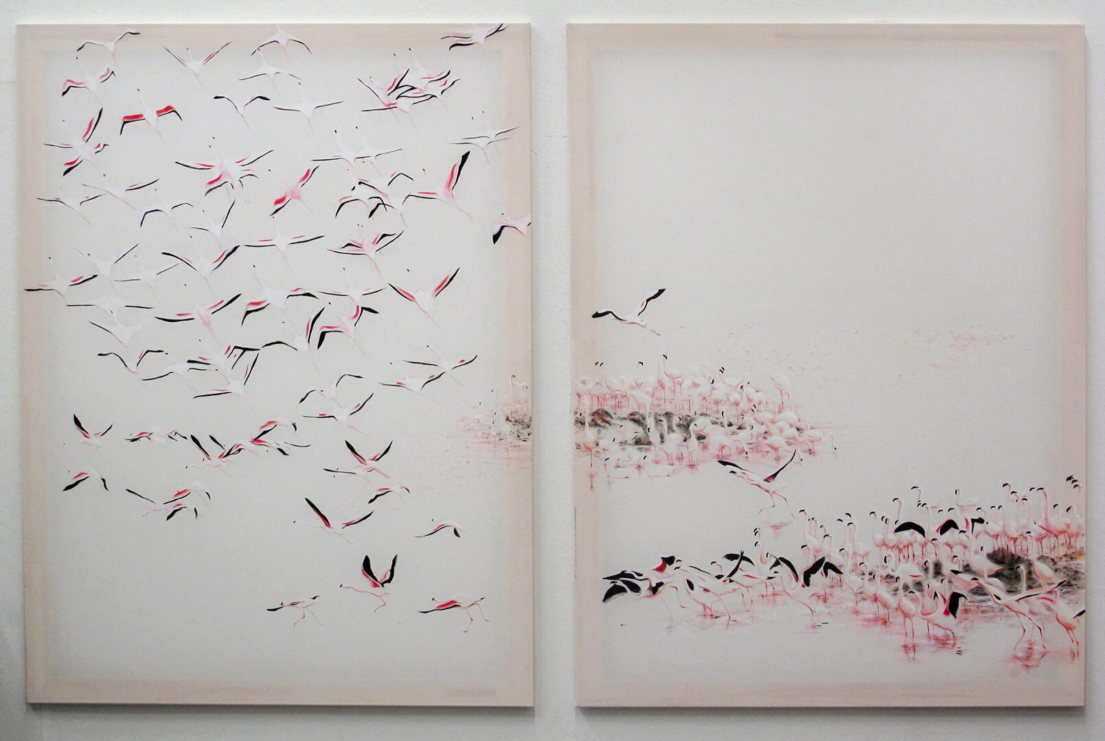 Flamingos