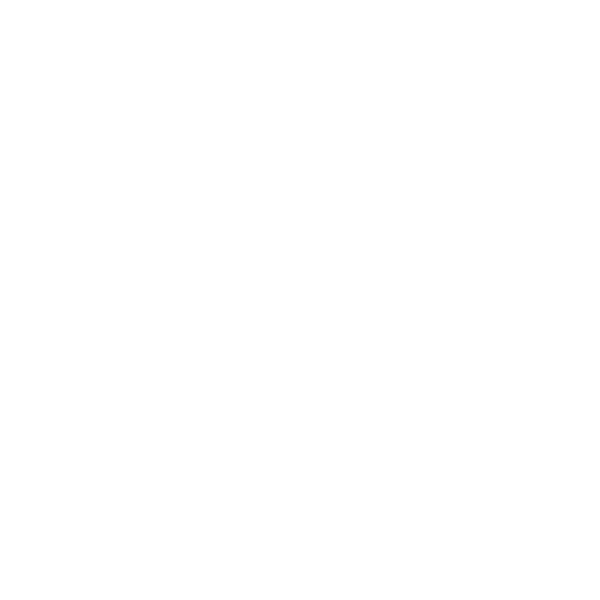 Partners_Icon_White.png