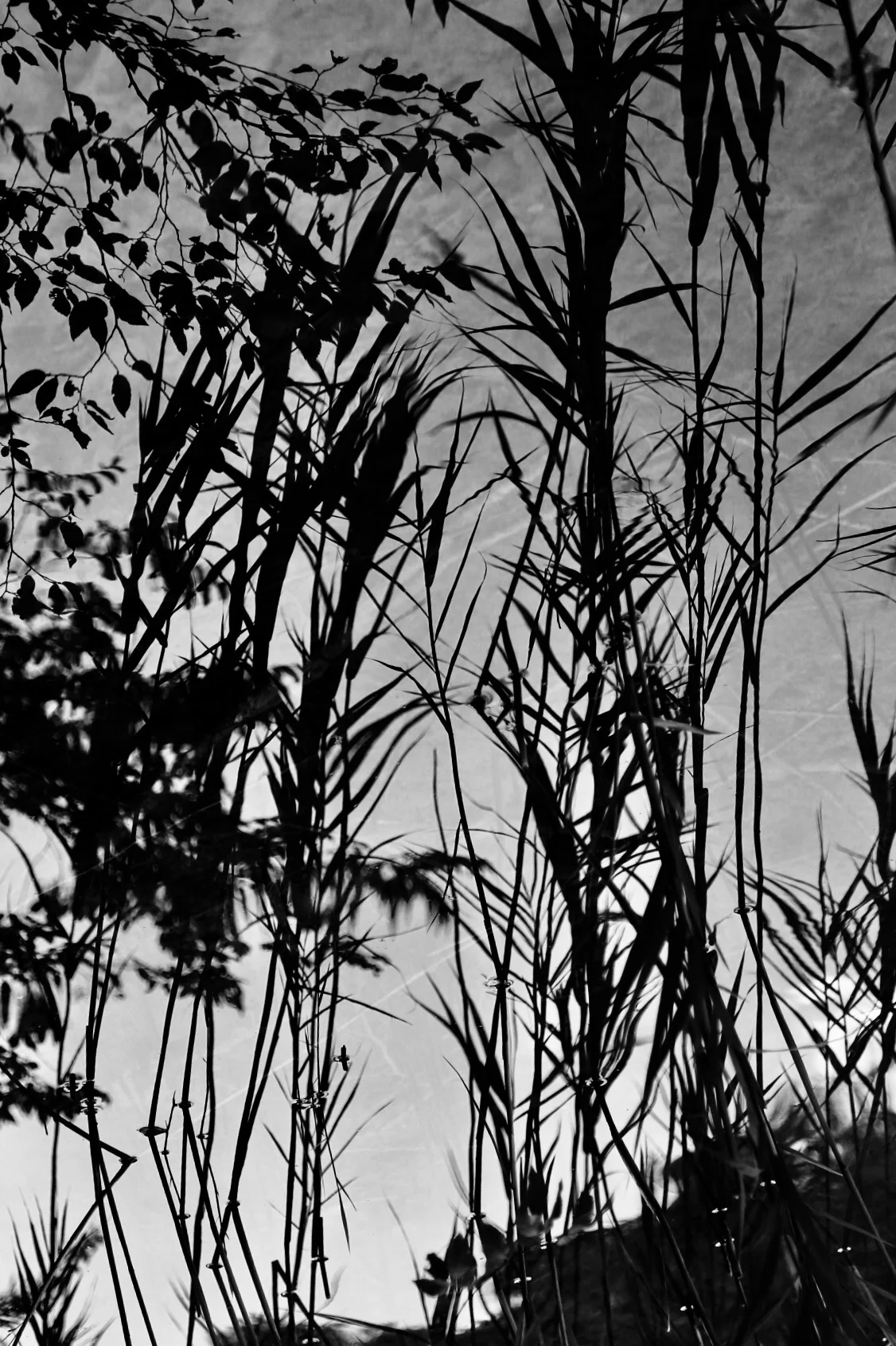 Plitvice Lakes, Croatia, 2017