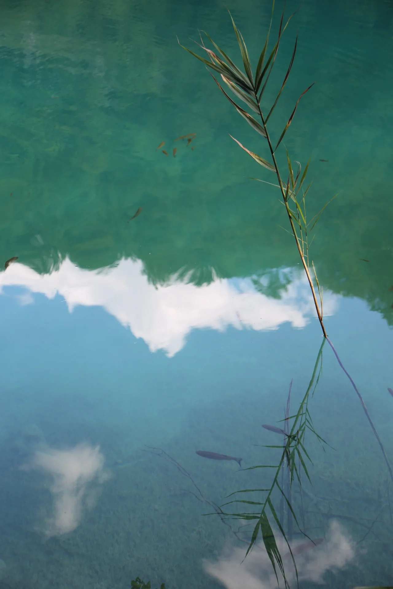 Plitvice Lakes, Croatia, 2017