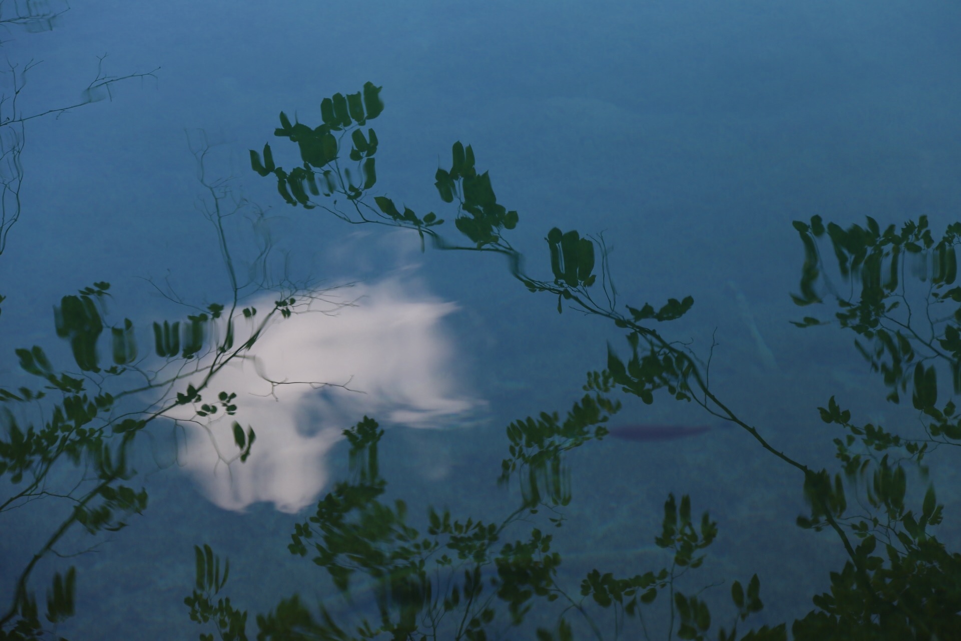 Plitvice Lakes, Croatia, 2017