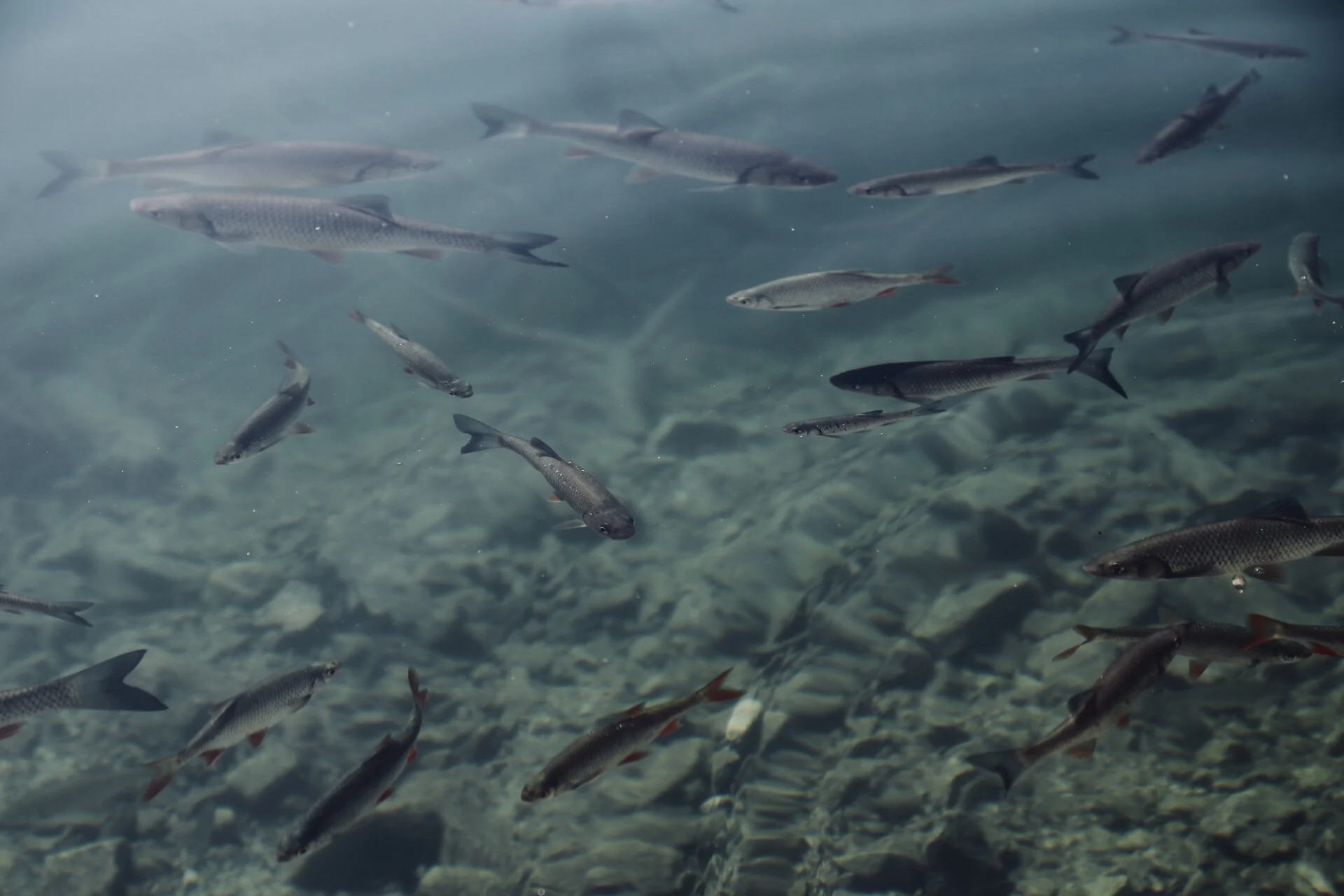 Plitvice Lakes, Croatia, 2017
