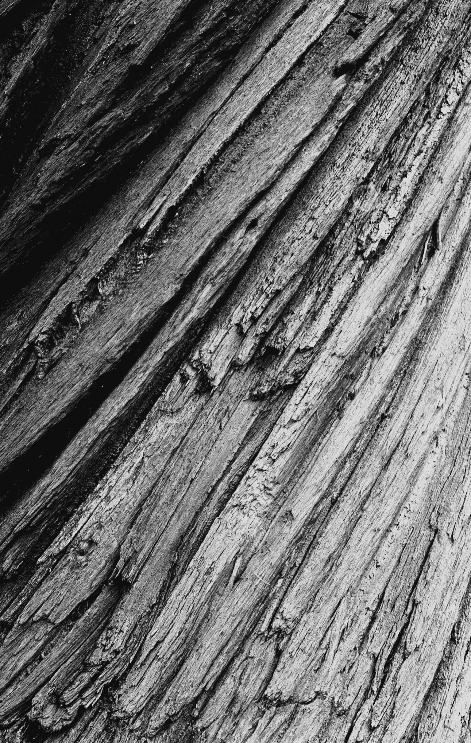 Carshalton Park, Surrey, 2016