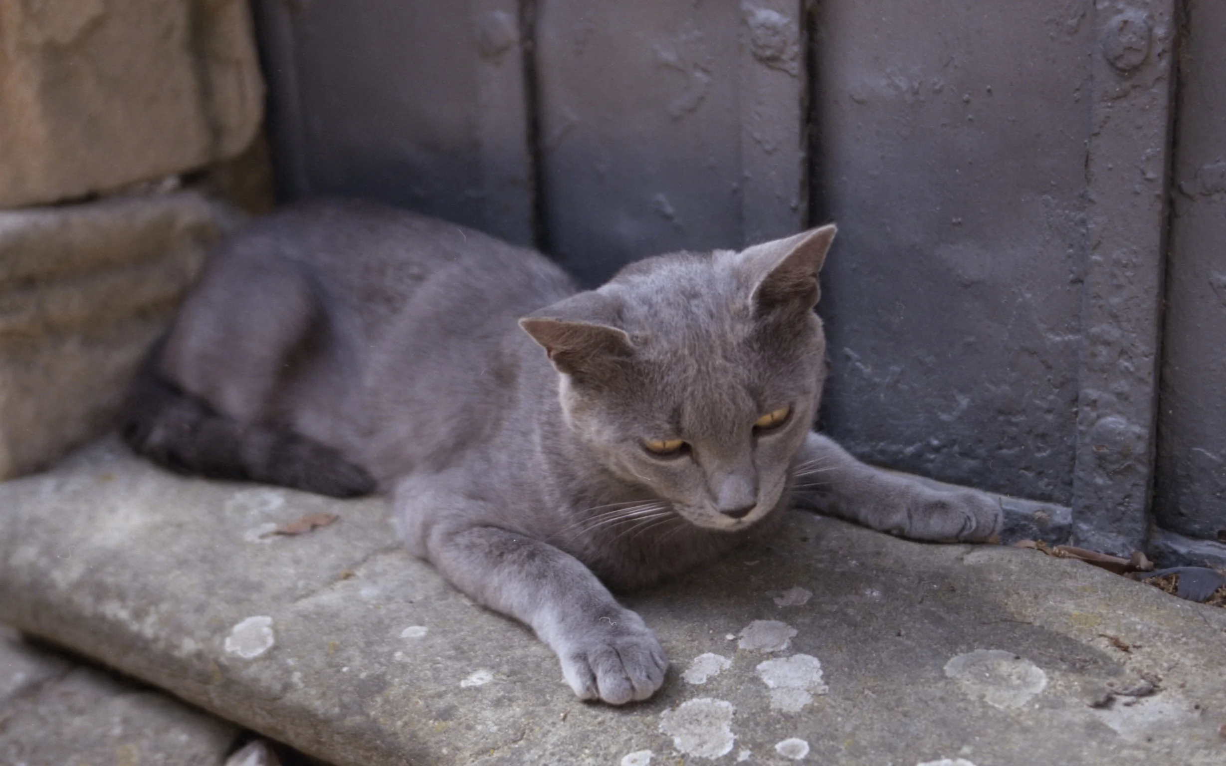 Montefollonico, Tuscany, Italy, 2005