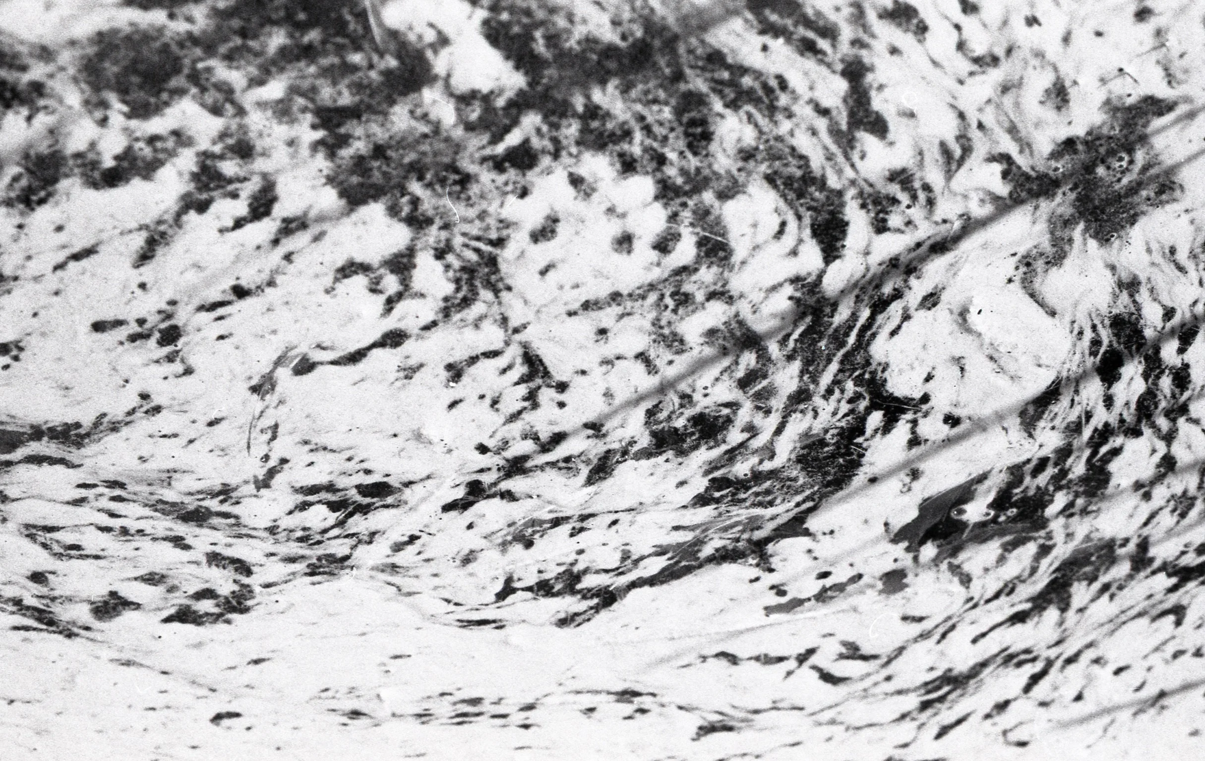 Schiermonnikoog, The Netherlands, 2017