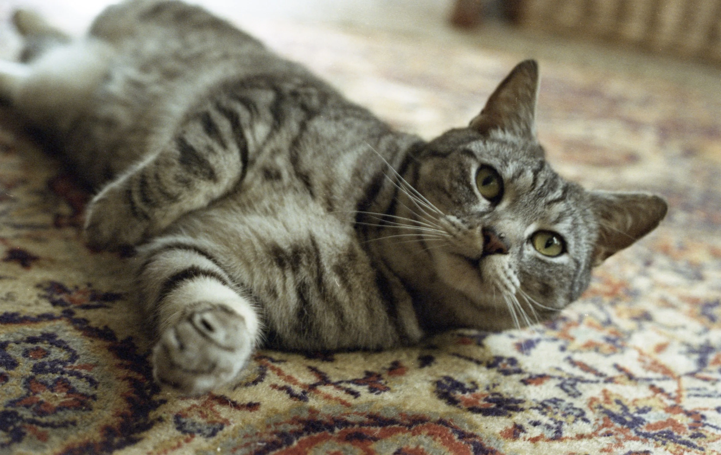 Brixton, London, 2016