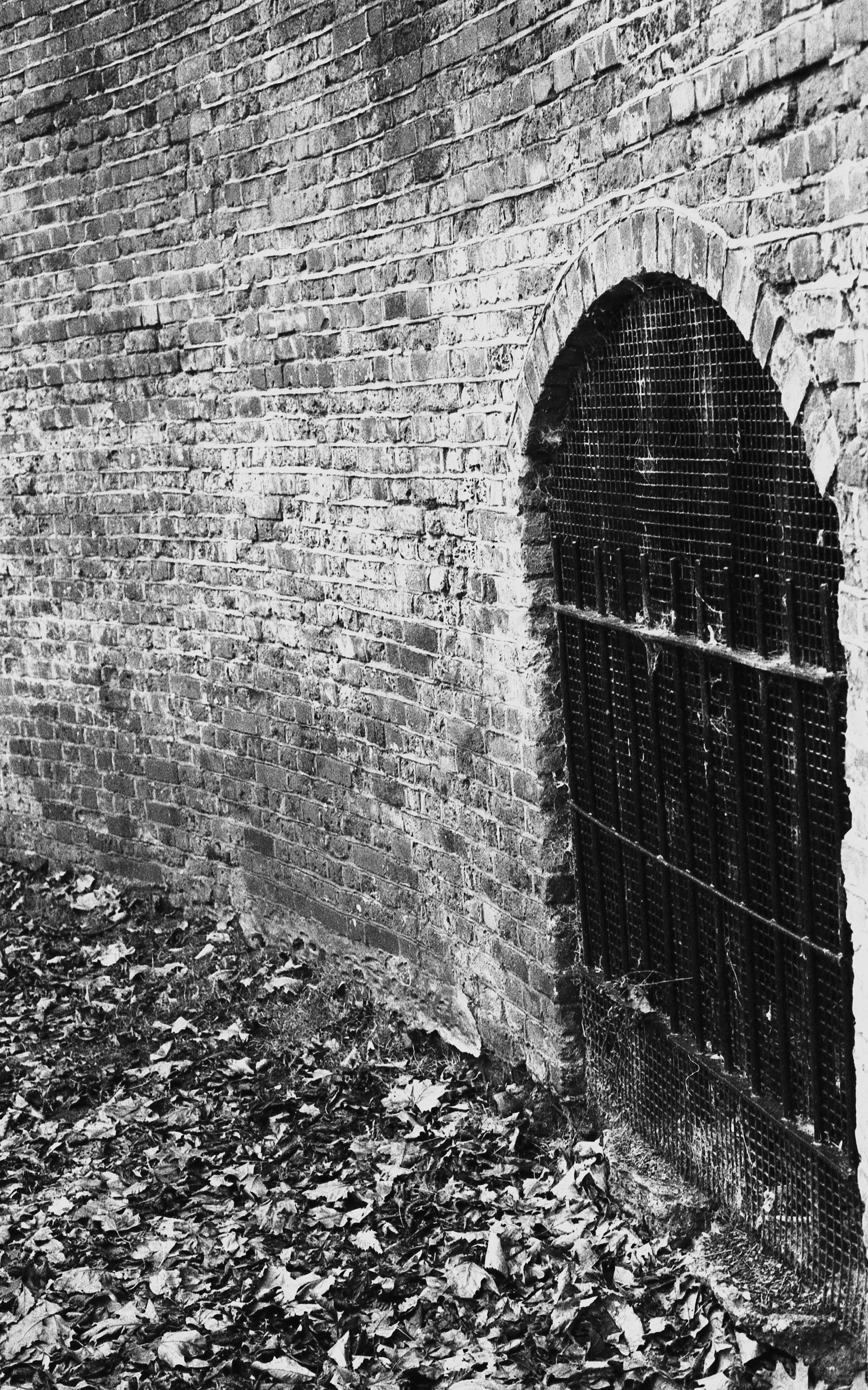 "The Grotto", Carshalton Park, England, 2016 