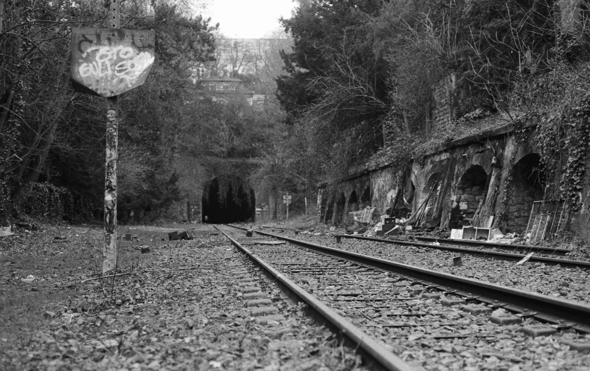 La Petite Ceinture, Paris, 2014