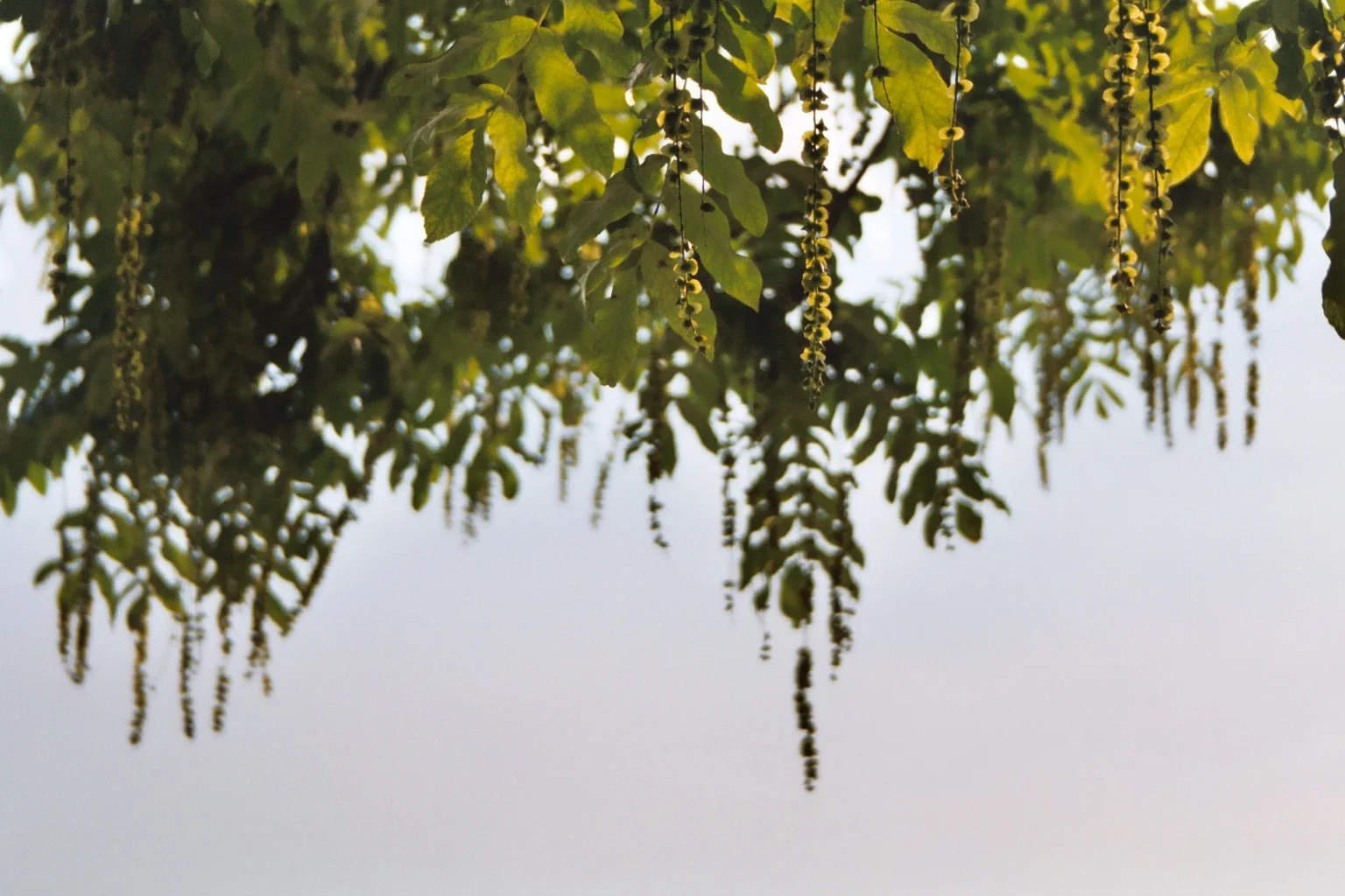 Meersburg, Germany, 2004