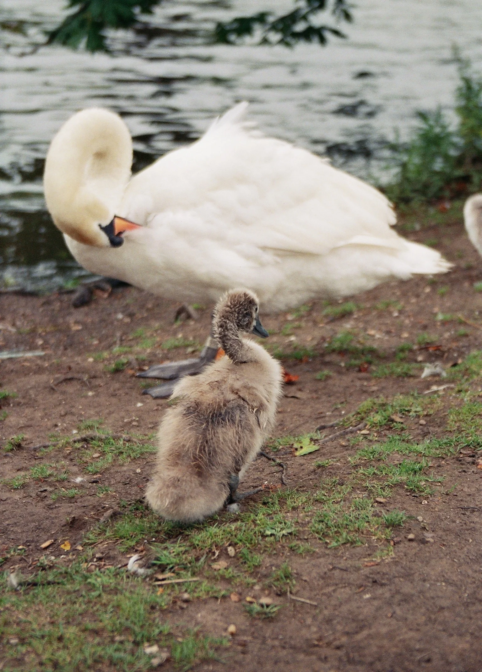 Stratford-upon-Avon, England