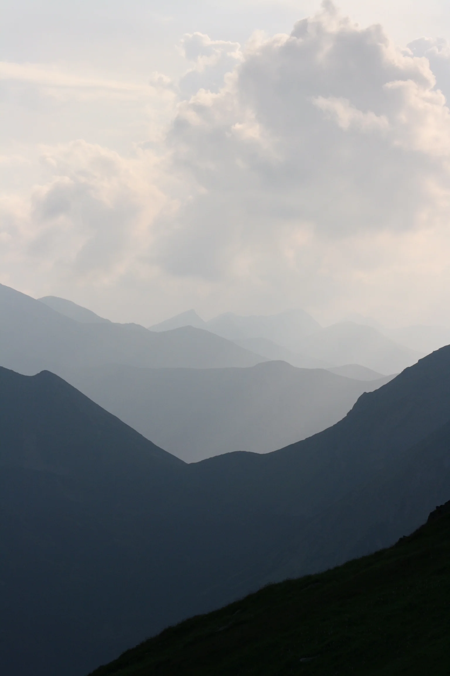 99498498-9D1D-4011-ACD7-1A09B8B29A85.jpeg
