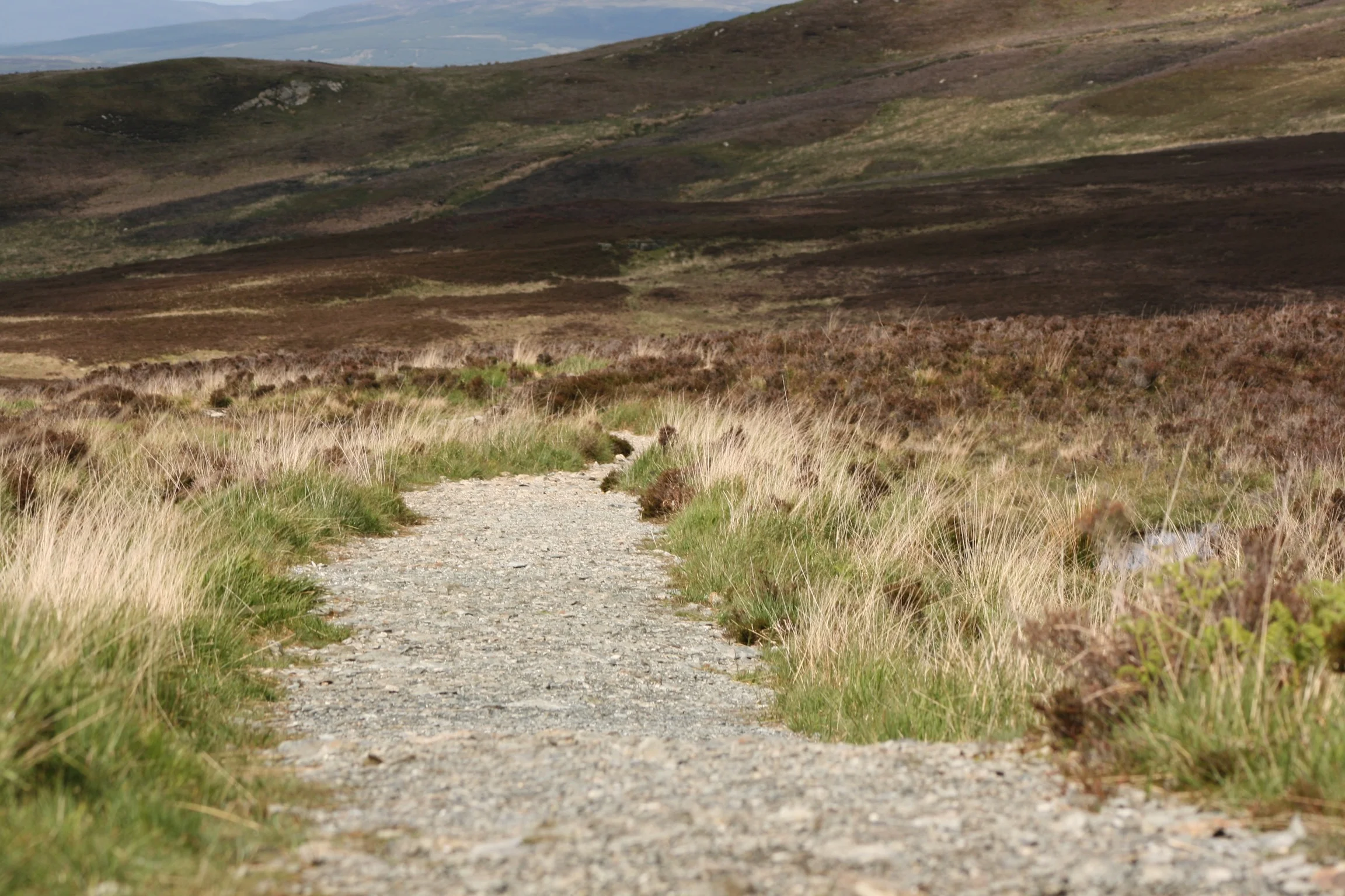 Arran, Scotland, 2007