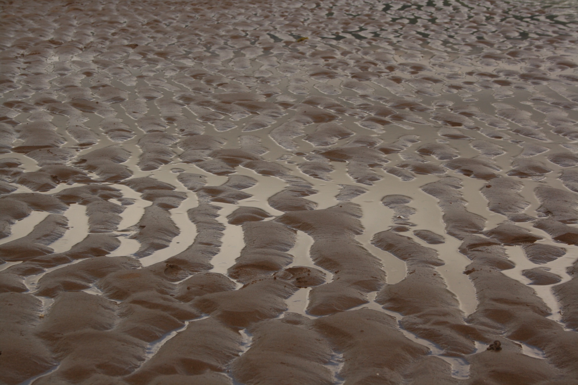 Arran, Scotland, 2007