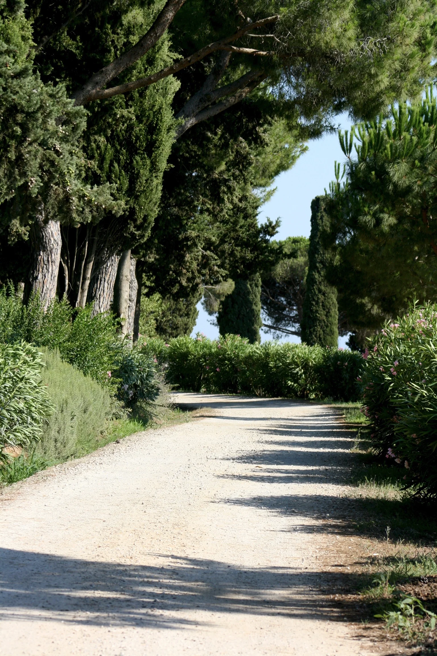 Grosetto, Italy, 2008