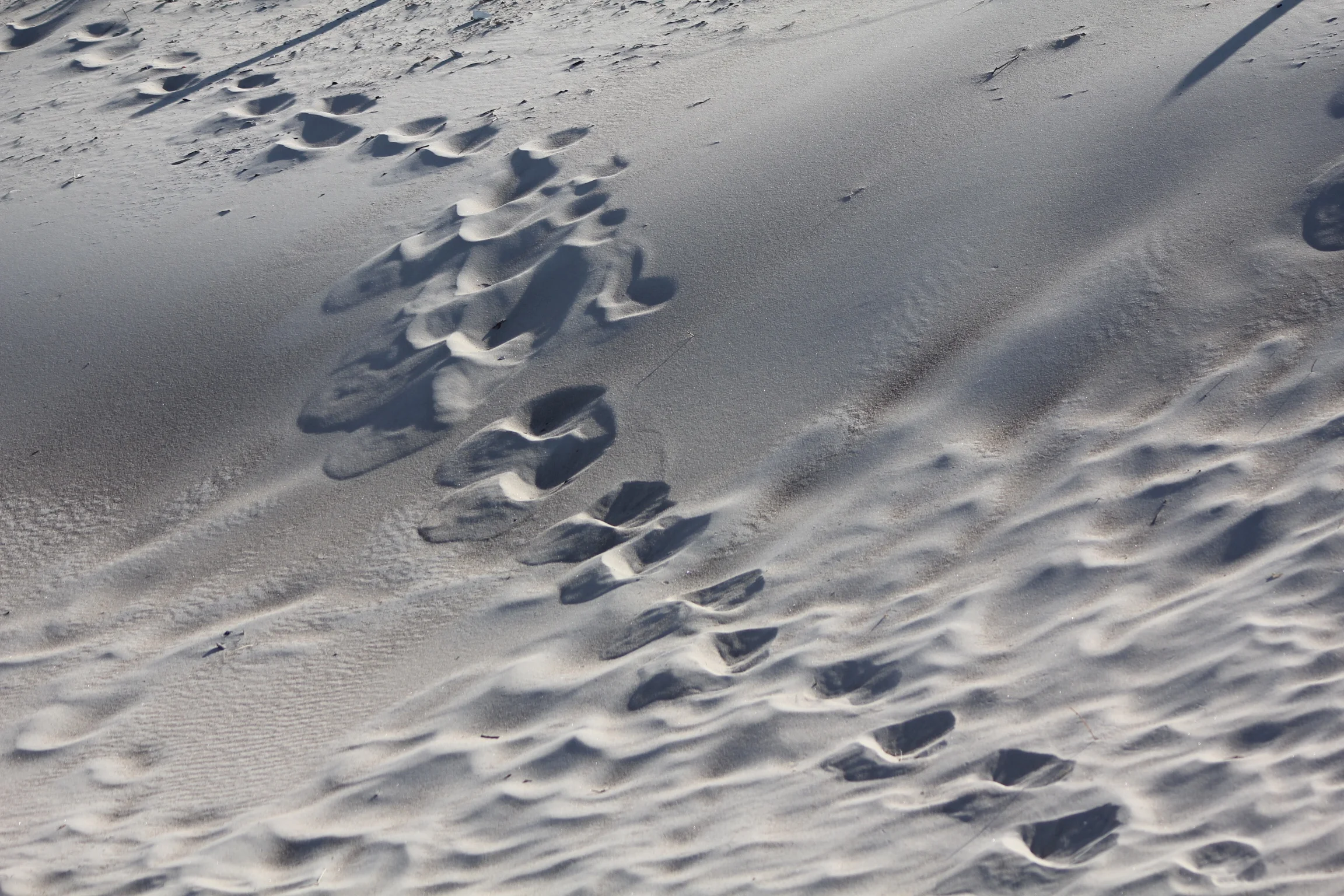 Warnemünde, Germany, 2011