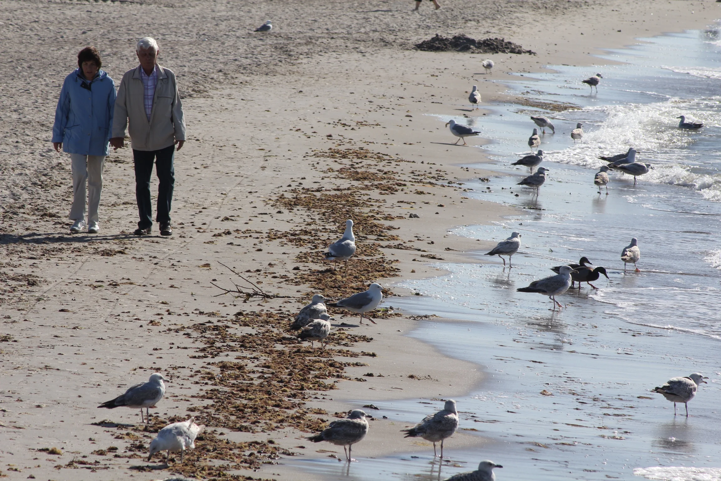 Warnemünde, Germany, 2011