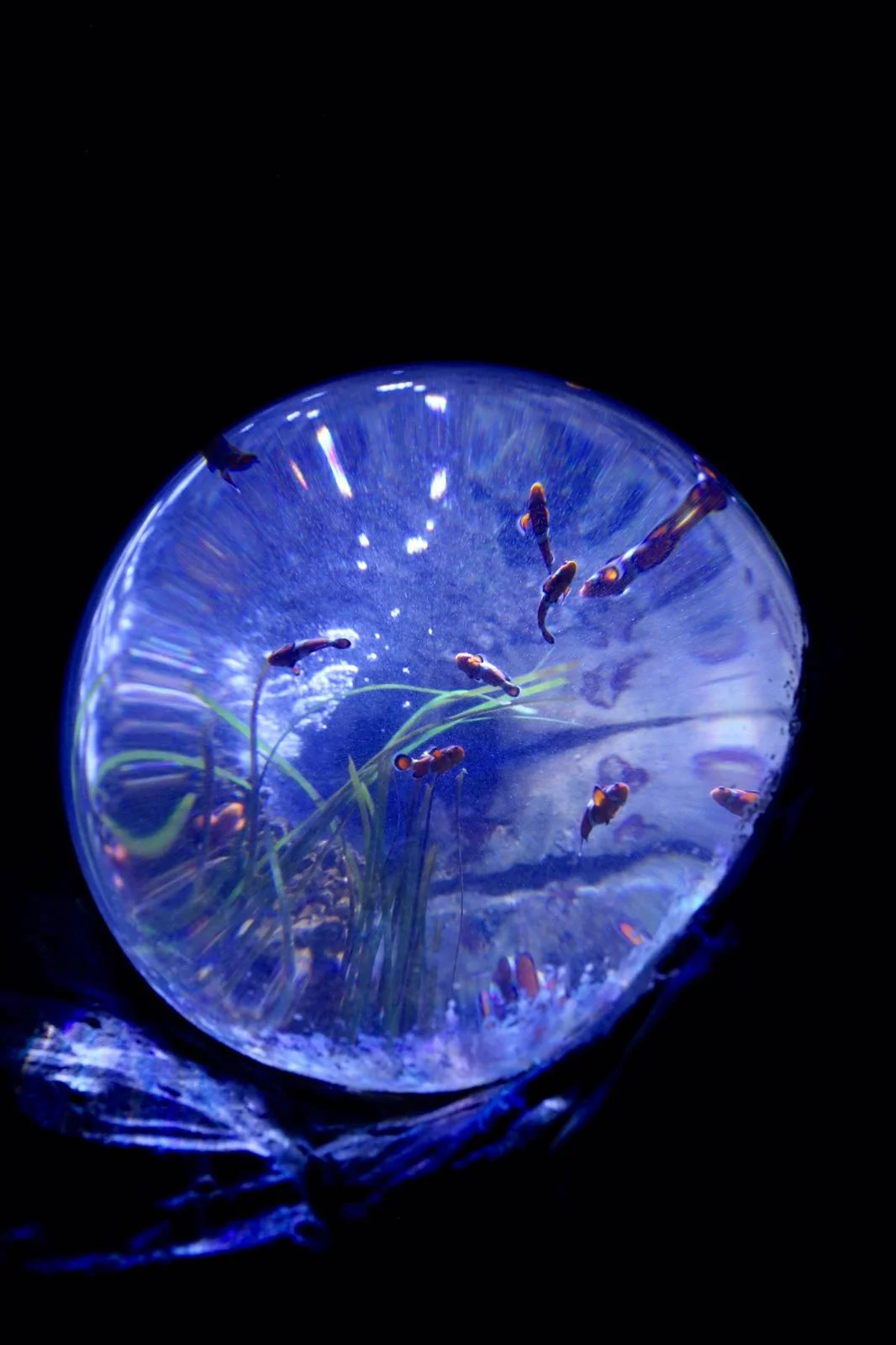 Weymouth, England, 2017