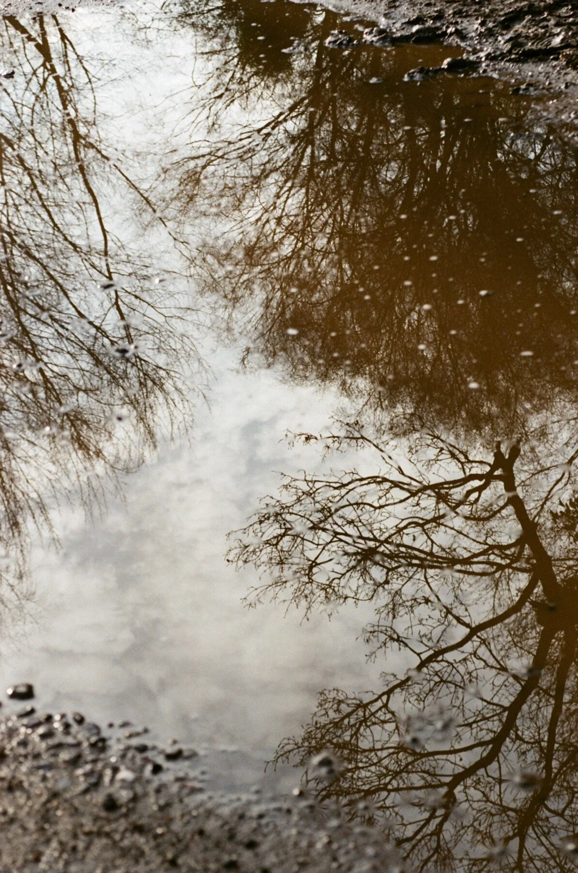 Walton-on-Thames, 2018