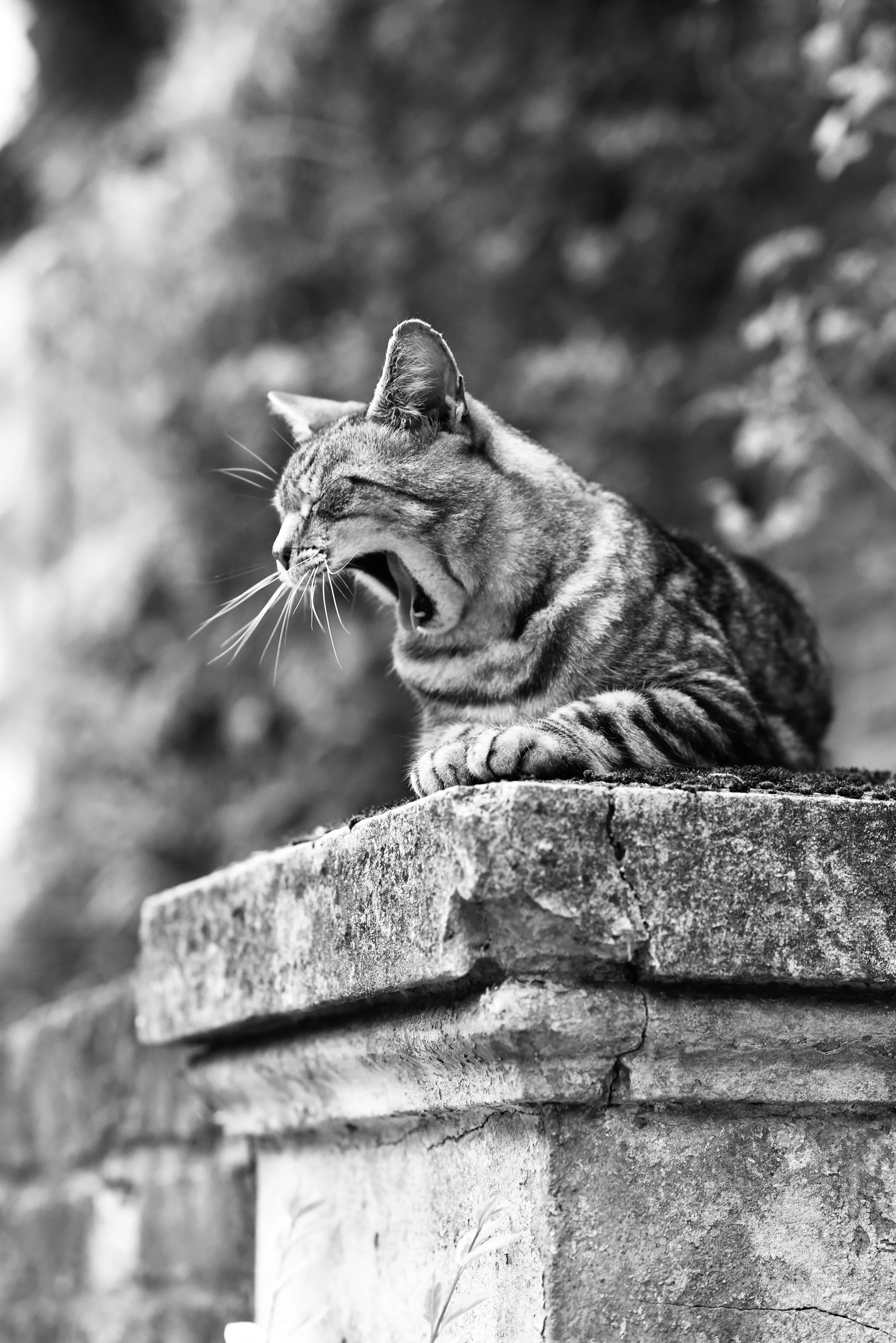 Brixton, London, 2020