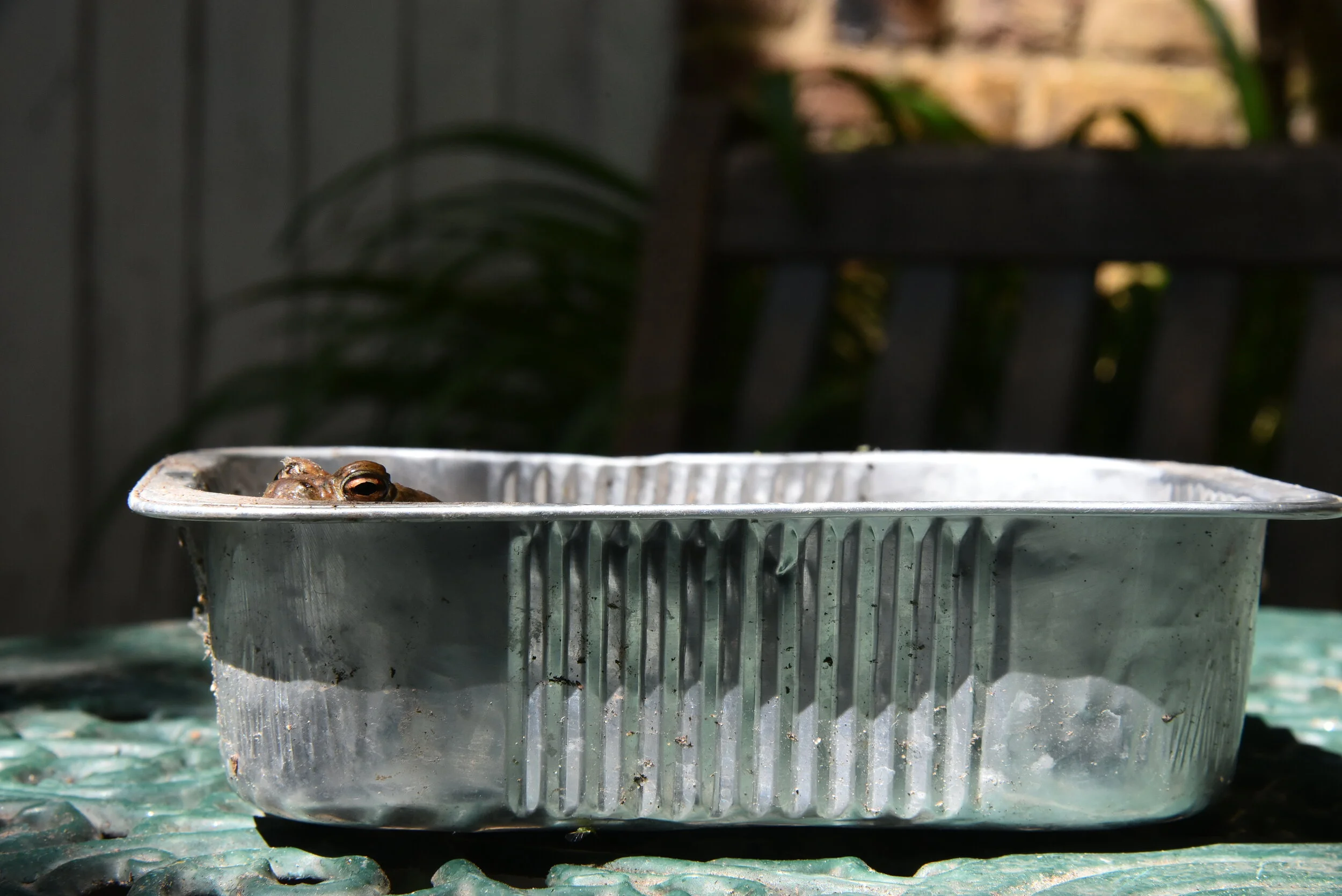 Brixton, London, 2020