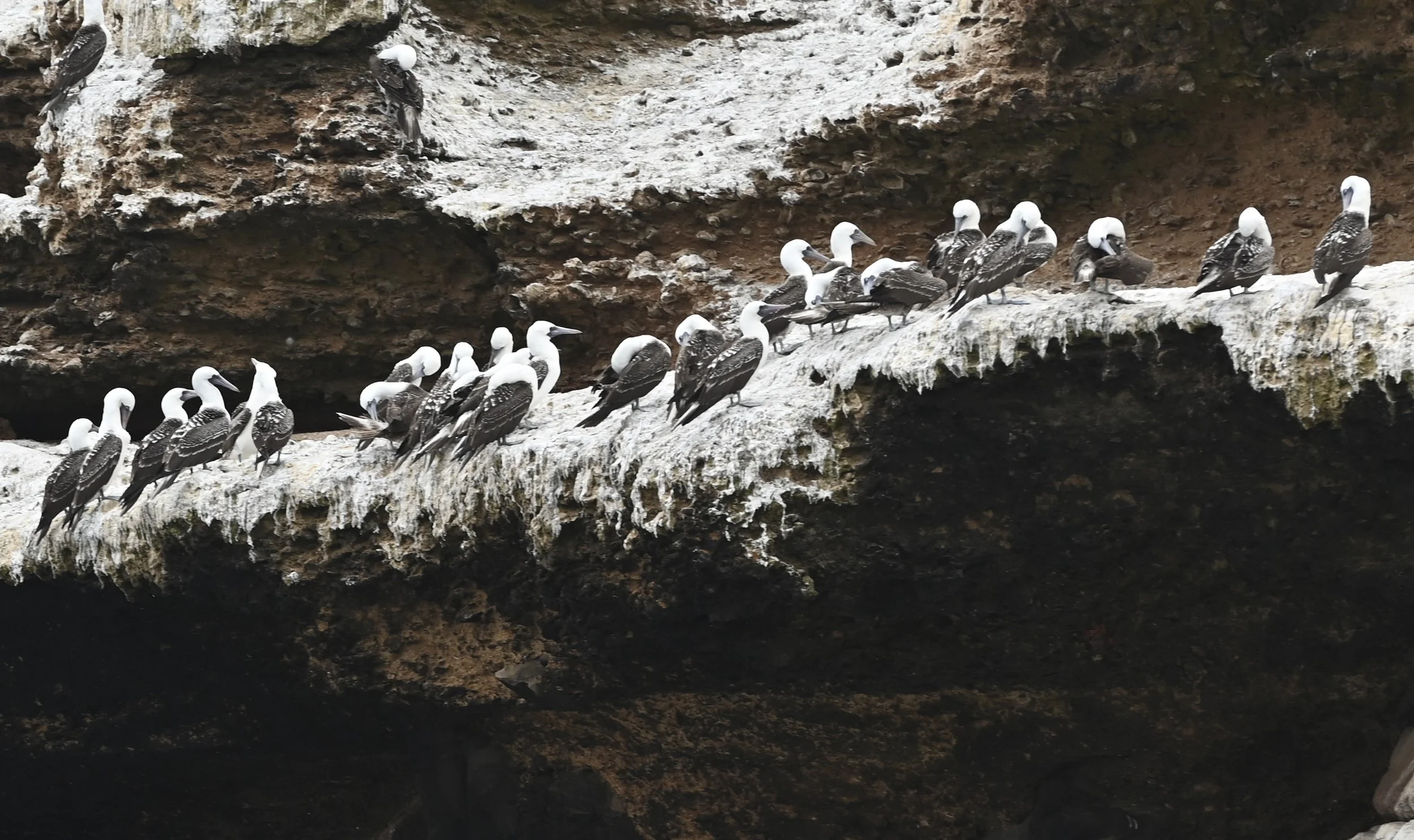 DSC_6298.jpeg