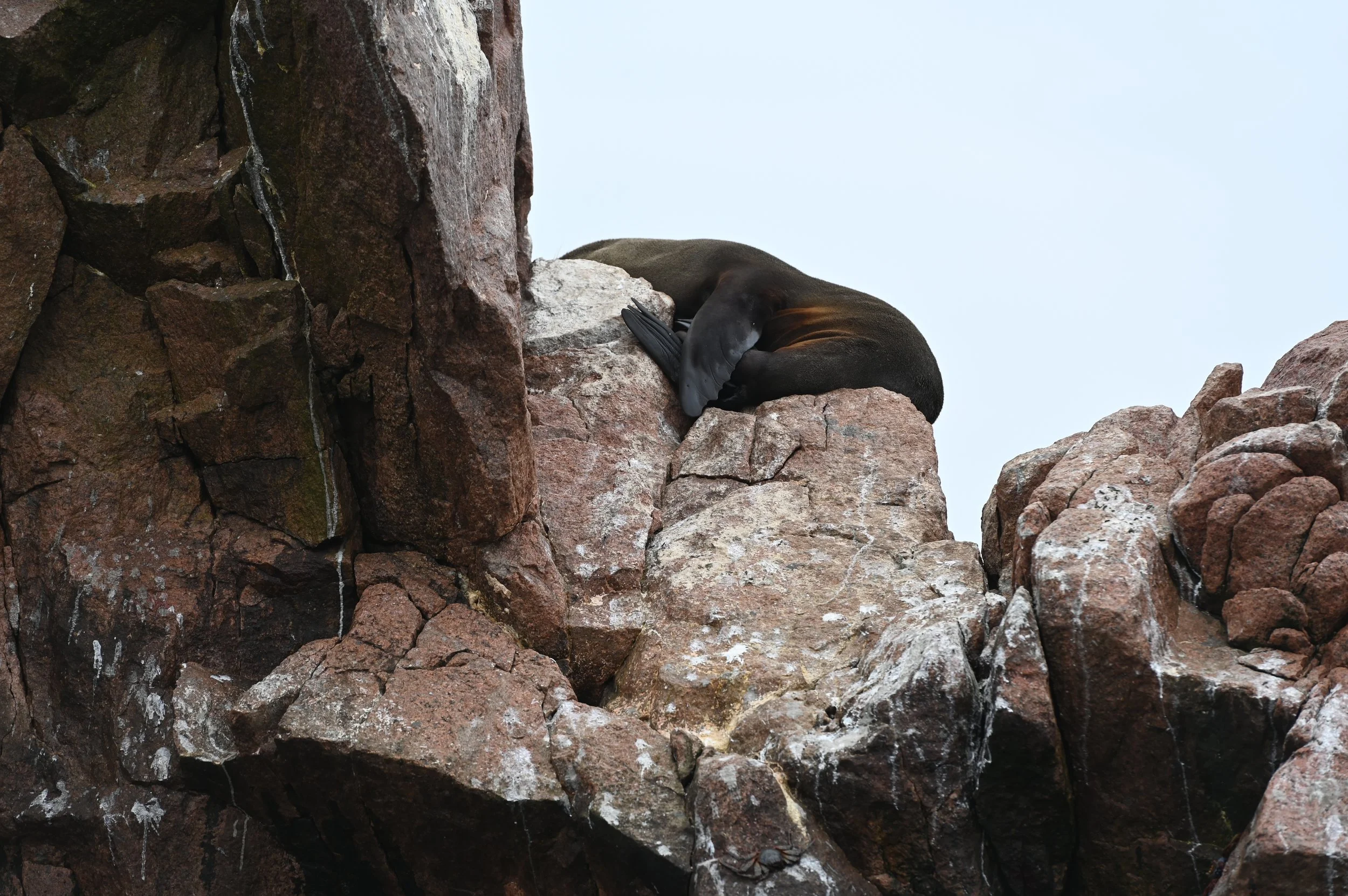 DSC_6330.jpeg