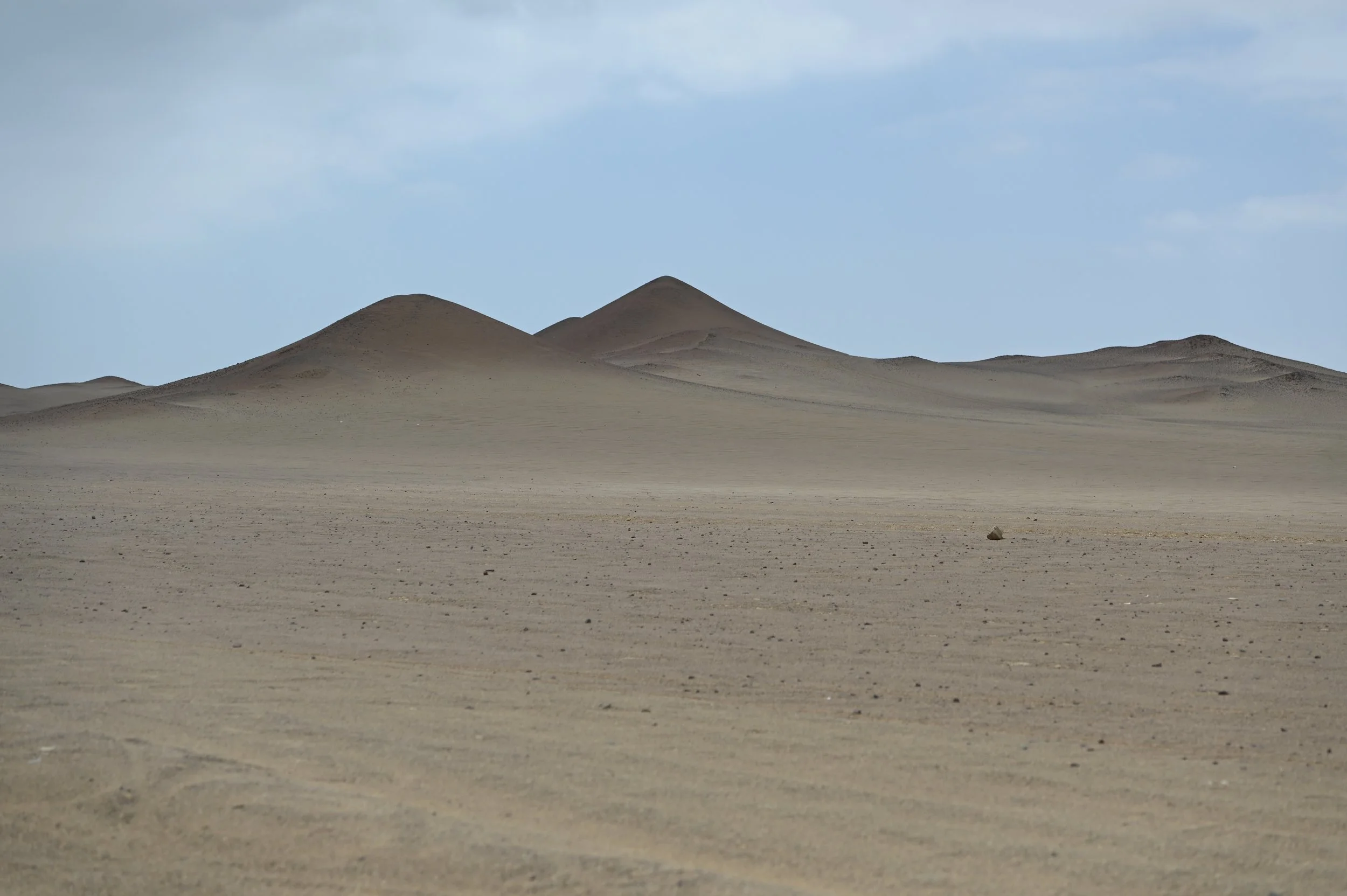 DSC_6478.jpeg