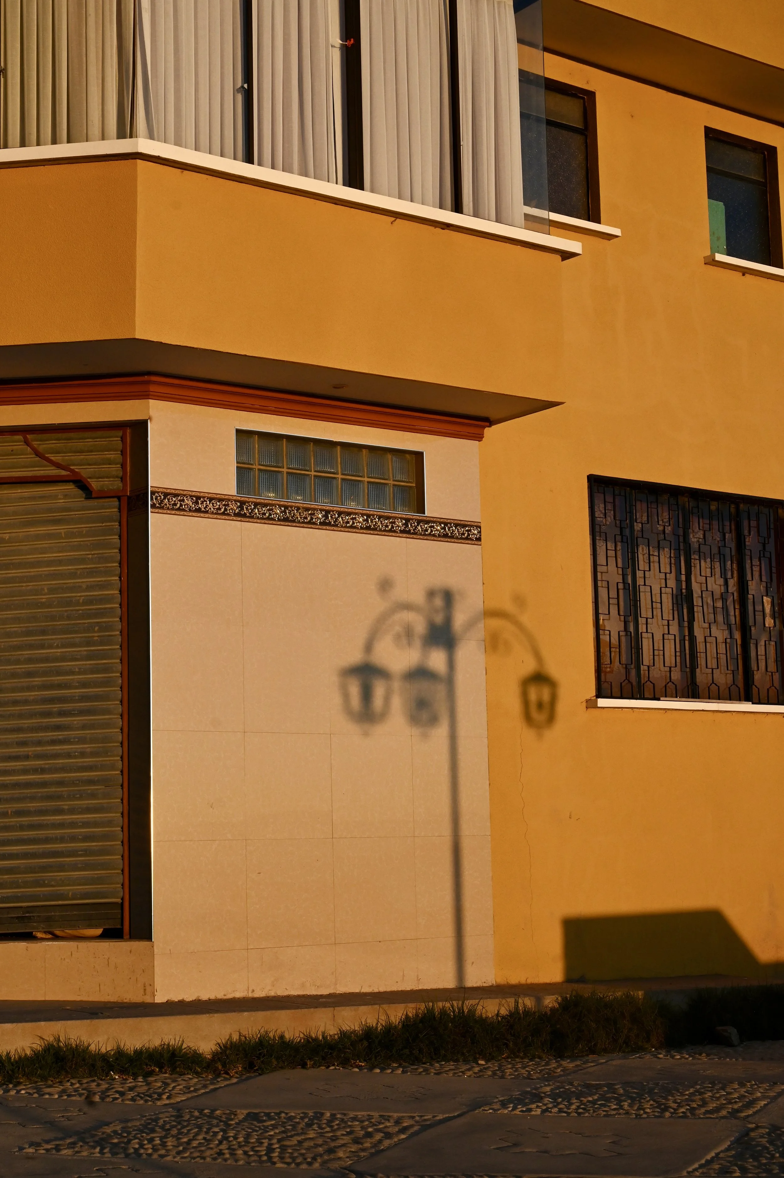 DSC_7913.jpeg